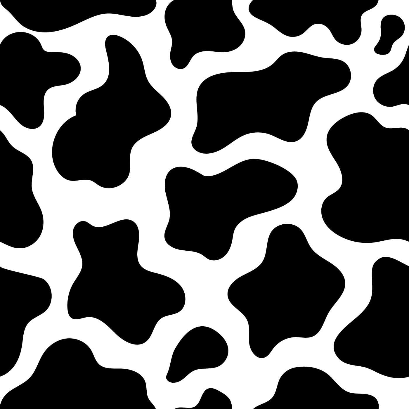 QnMochi banner image