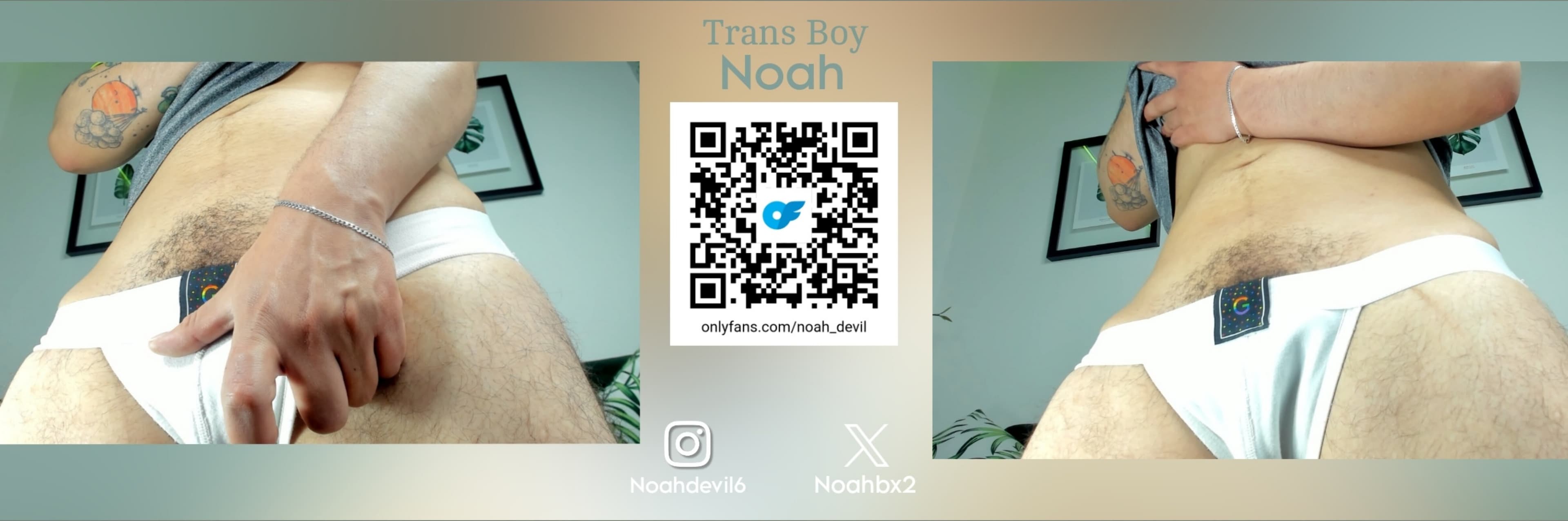 Noah banner image