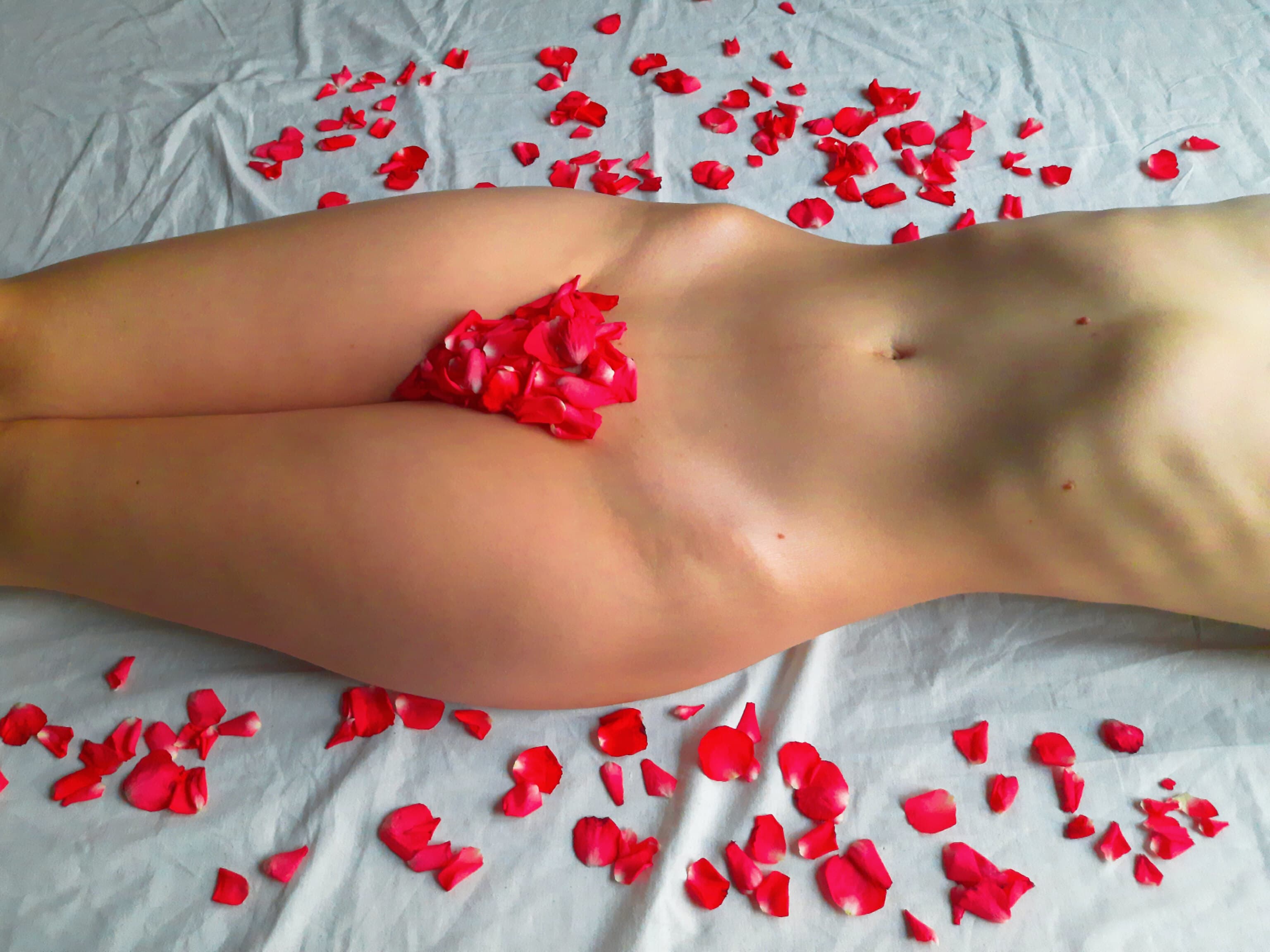 Pola_samantha banner image