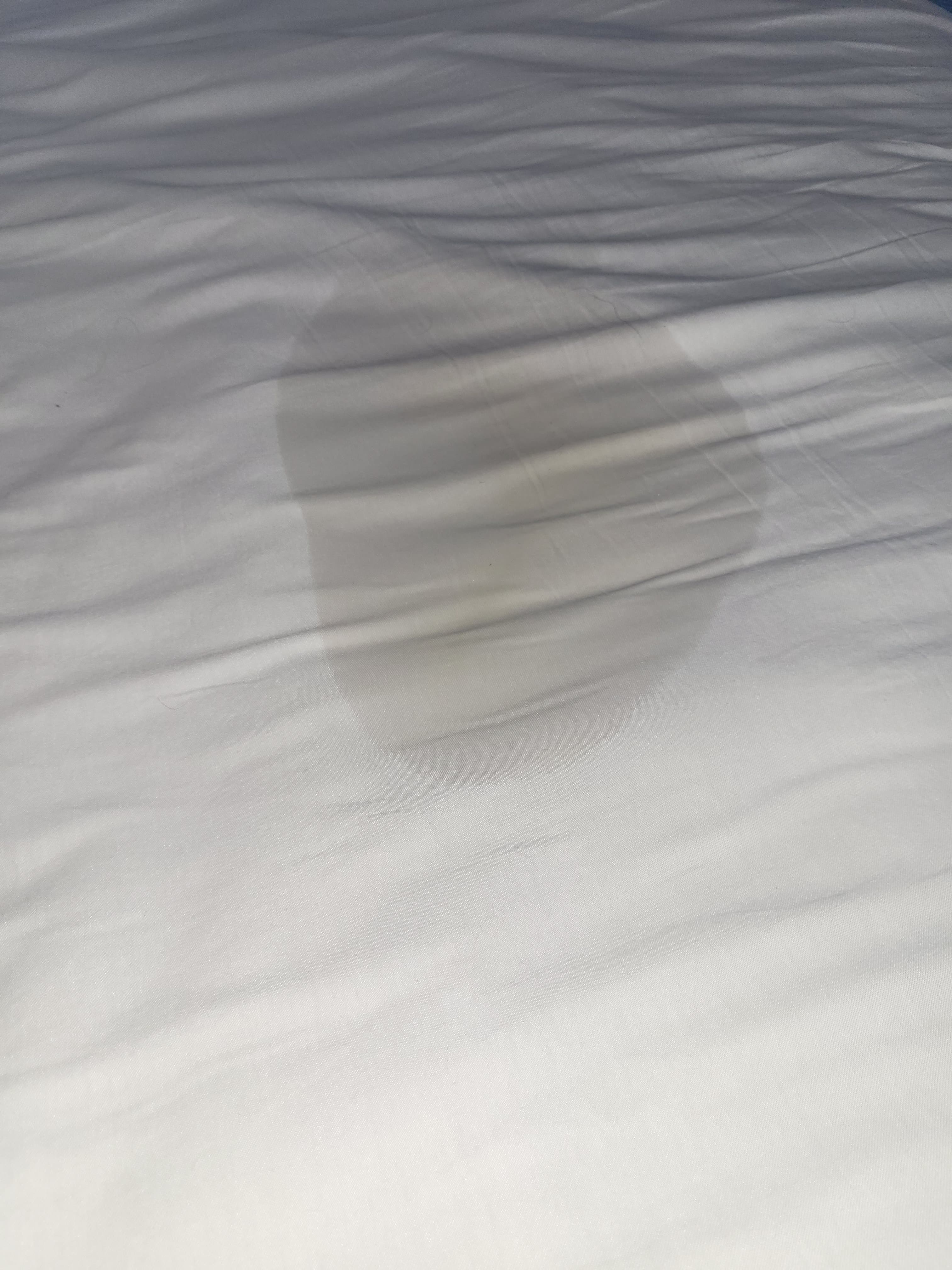 BBW Goddess banner image