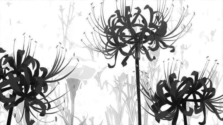 Effy Evans banner image