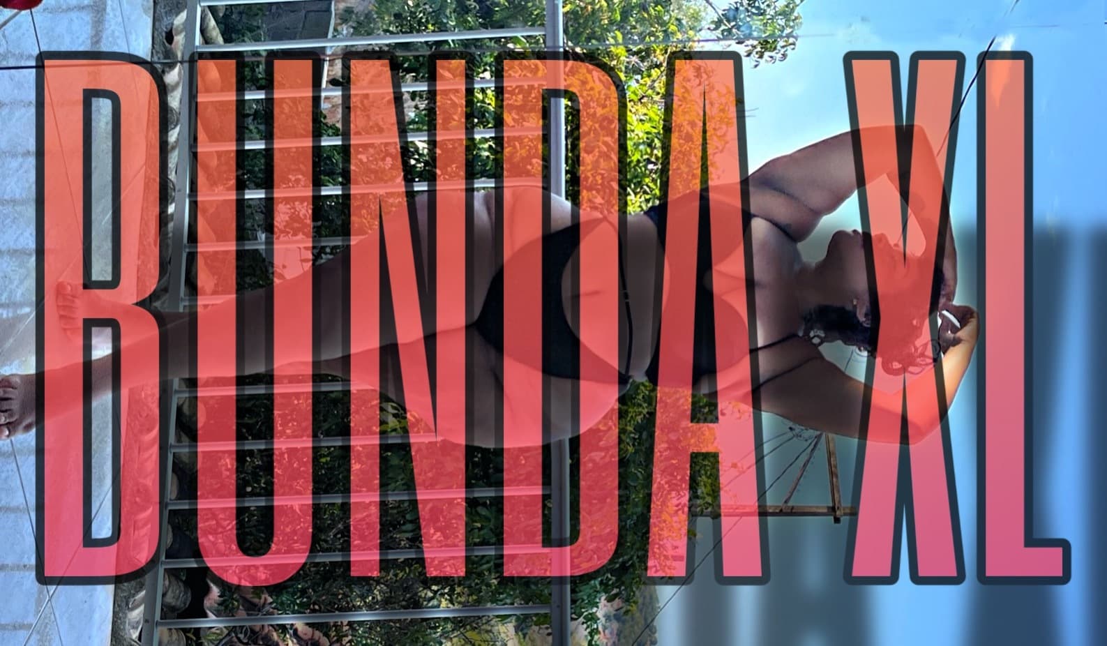 VIVΓ ROX π banner image