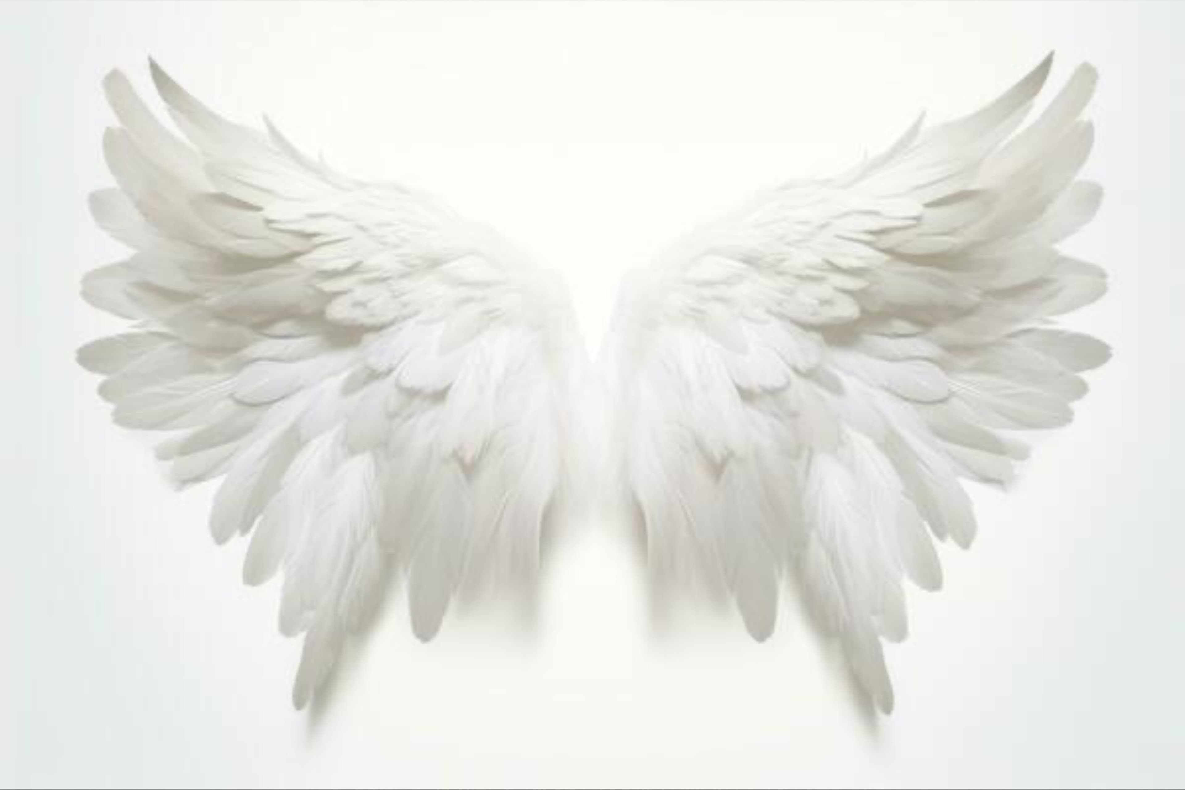 angel banner image