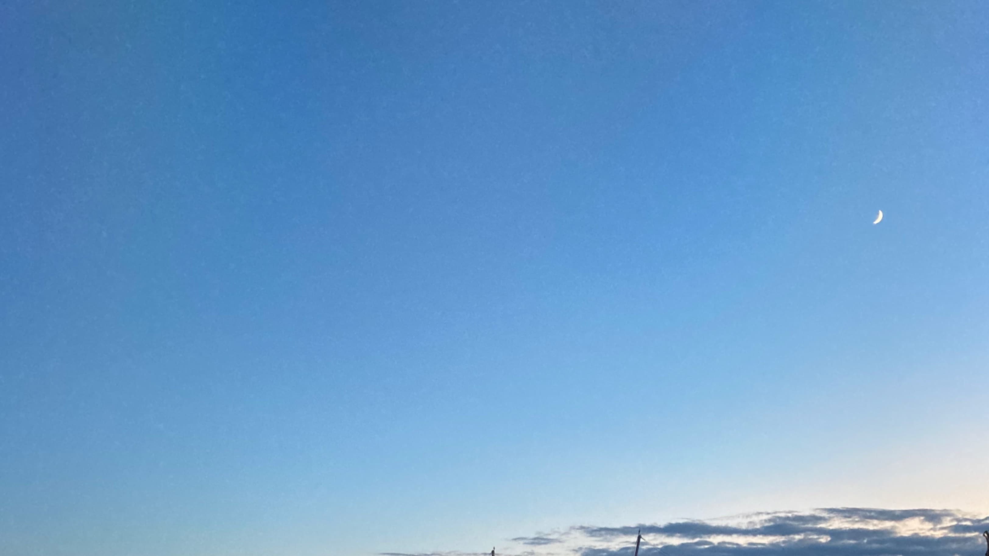 くちぶえ胡桃@KuchibueKurumi🇯🇵 banner image