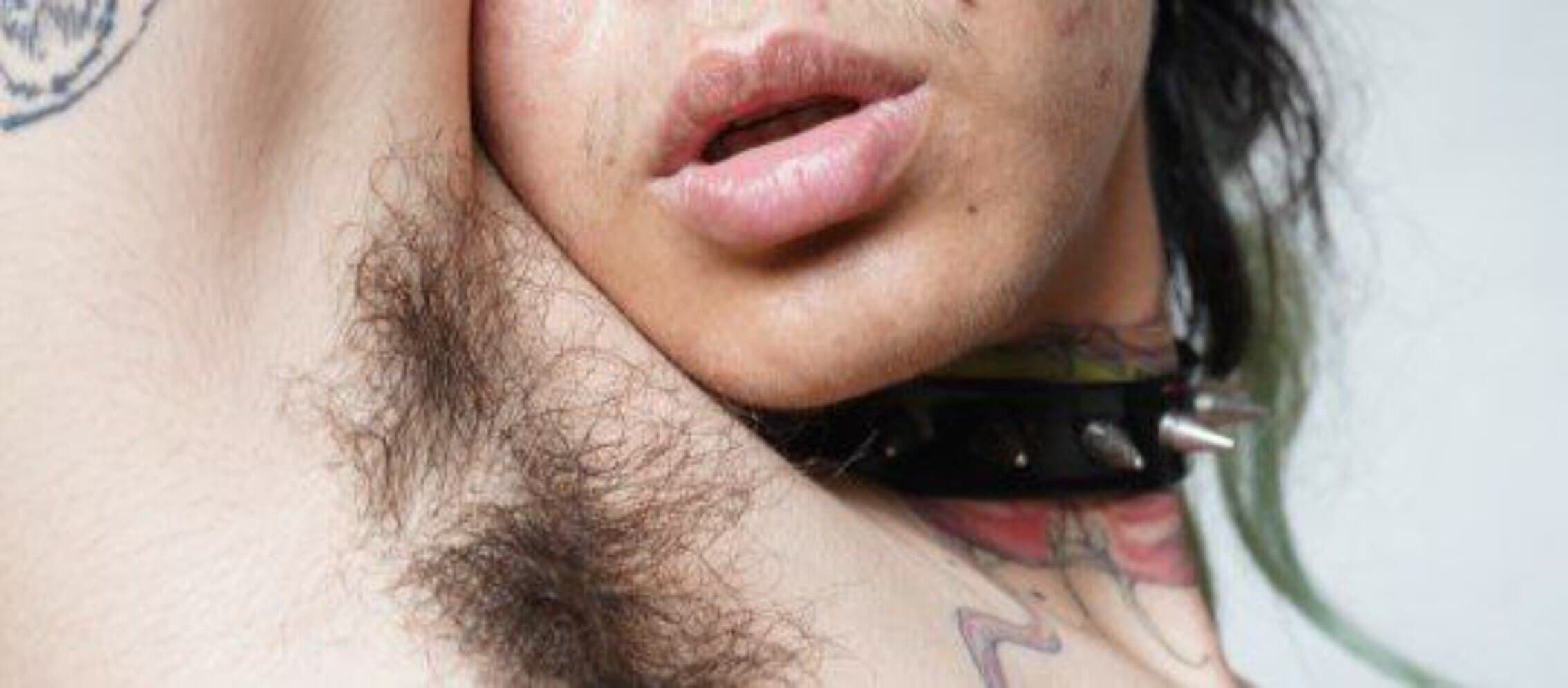 Colmillo Roto 🦷 banner image