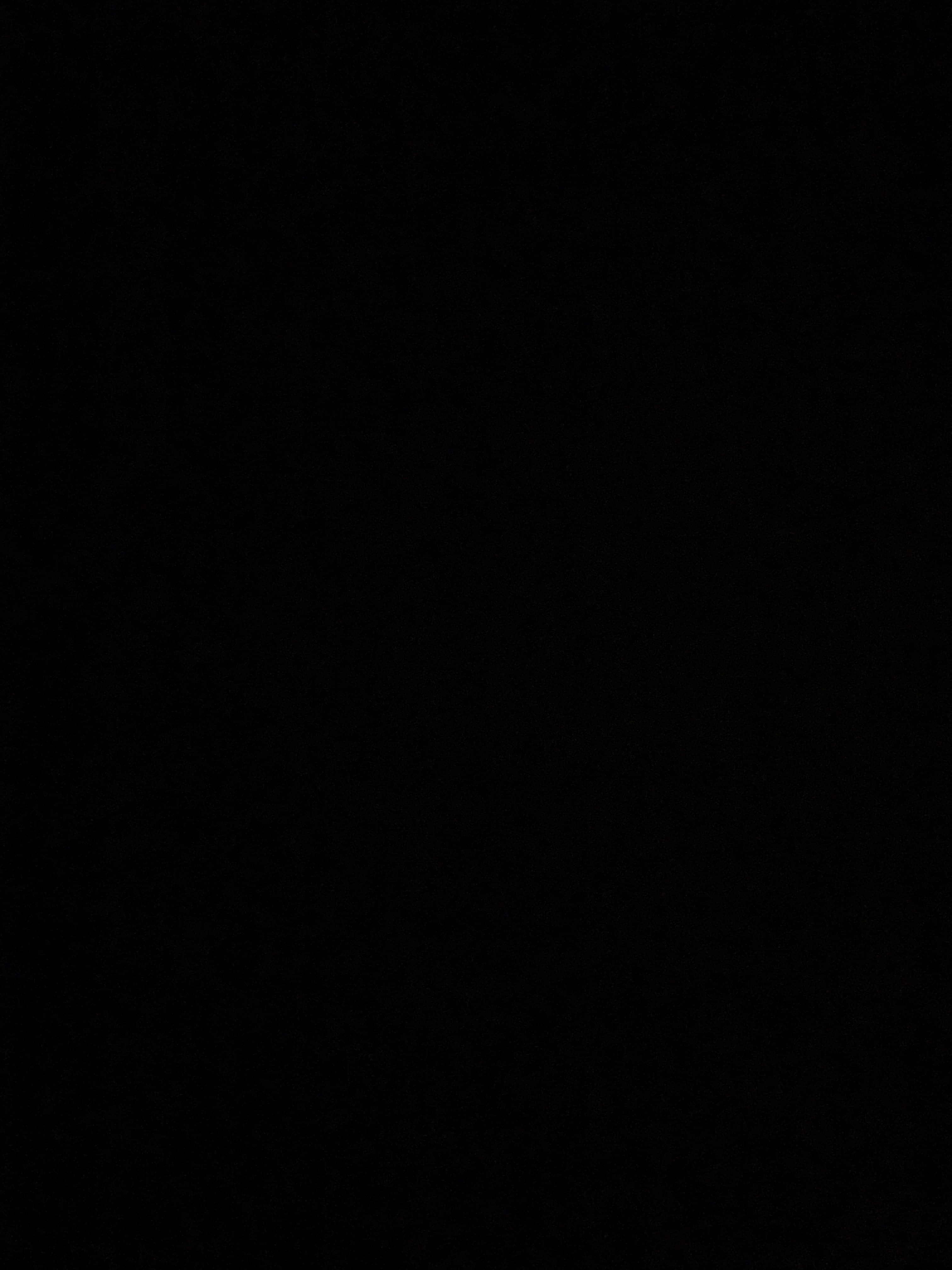 Anne Rose banner image