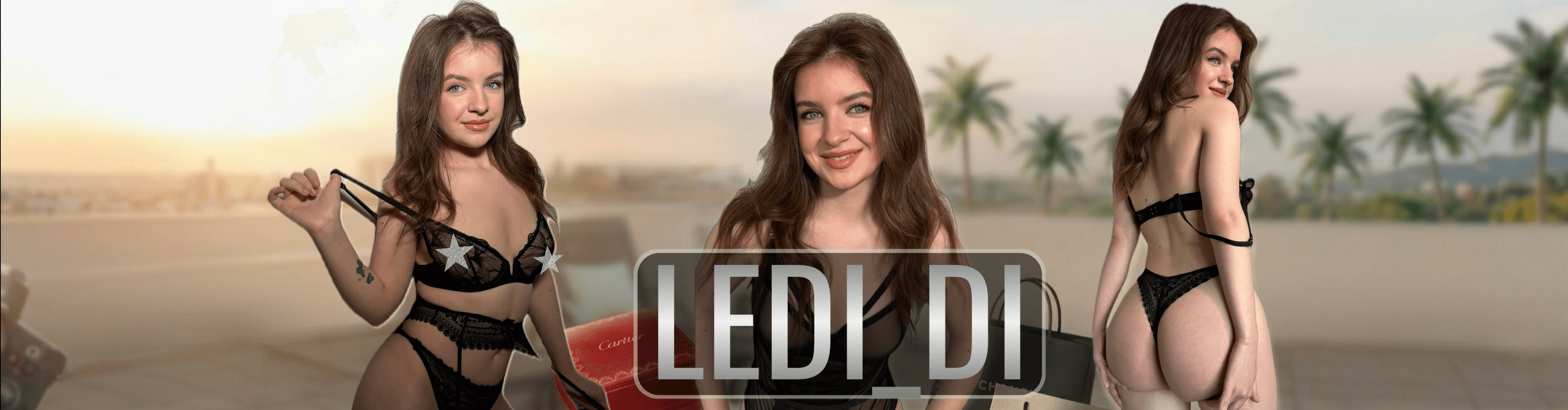 Ledi_di banner image