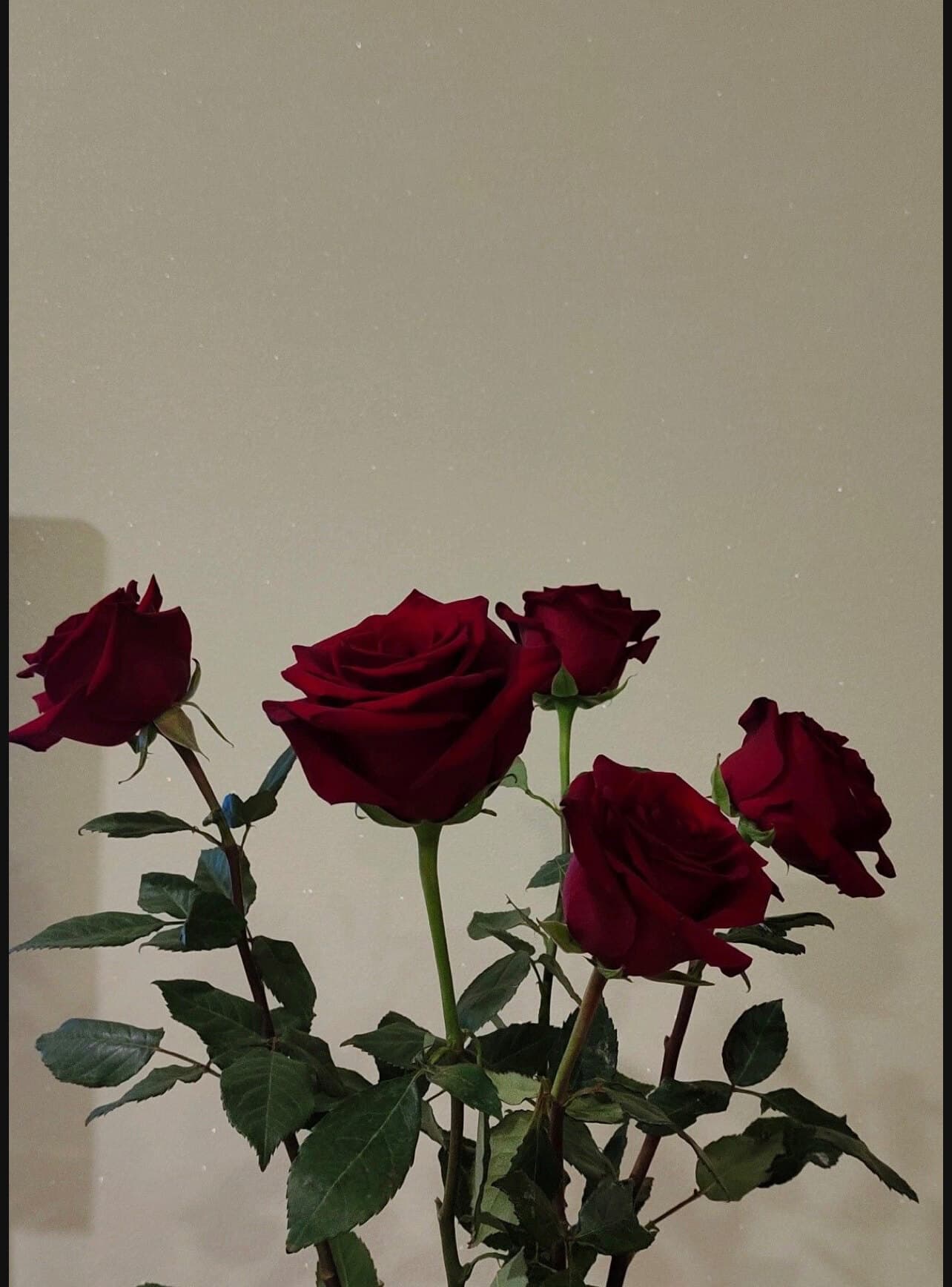 u476379877 banner image