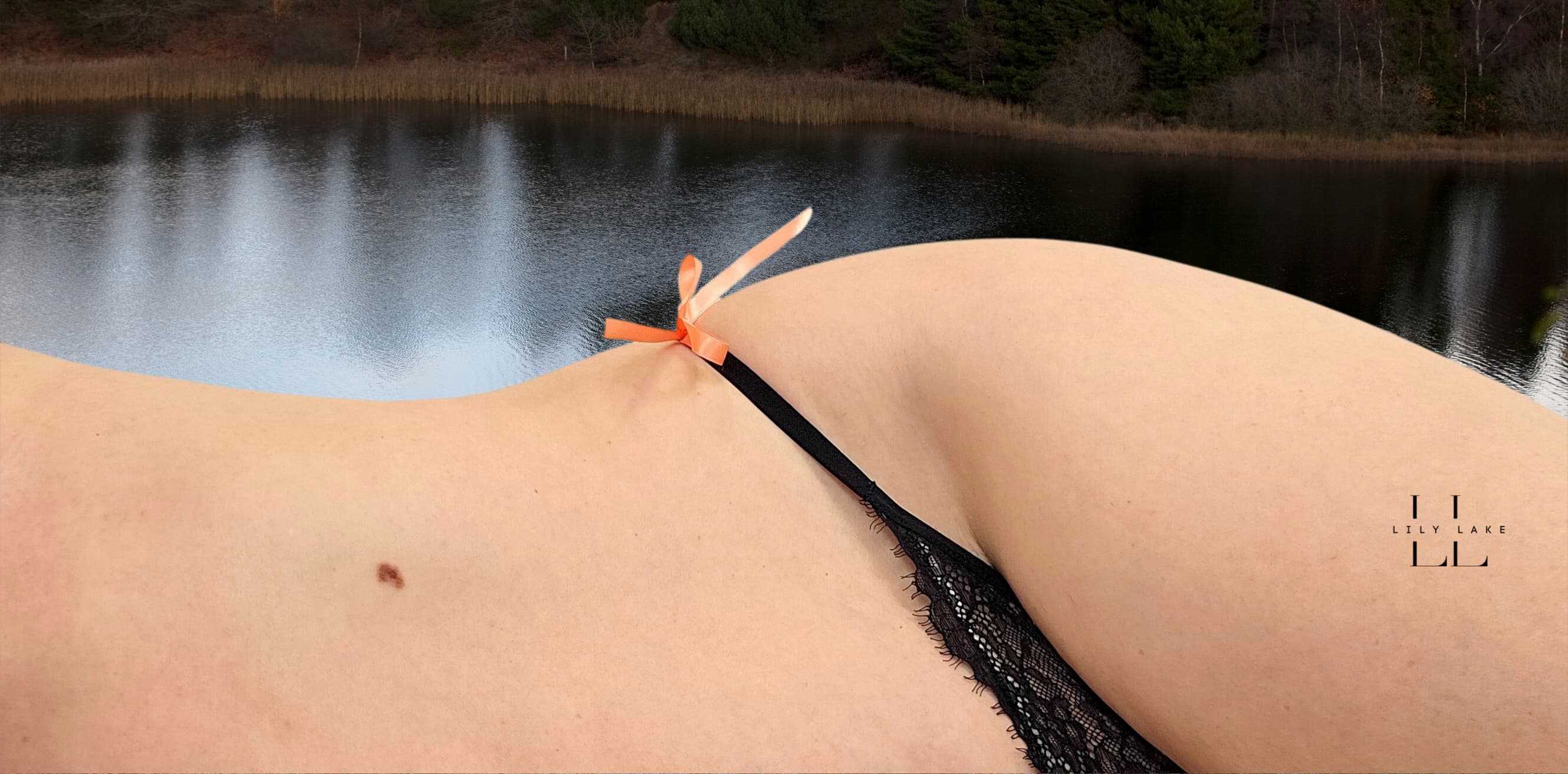 Lily Lake Feet banner image