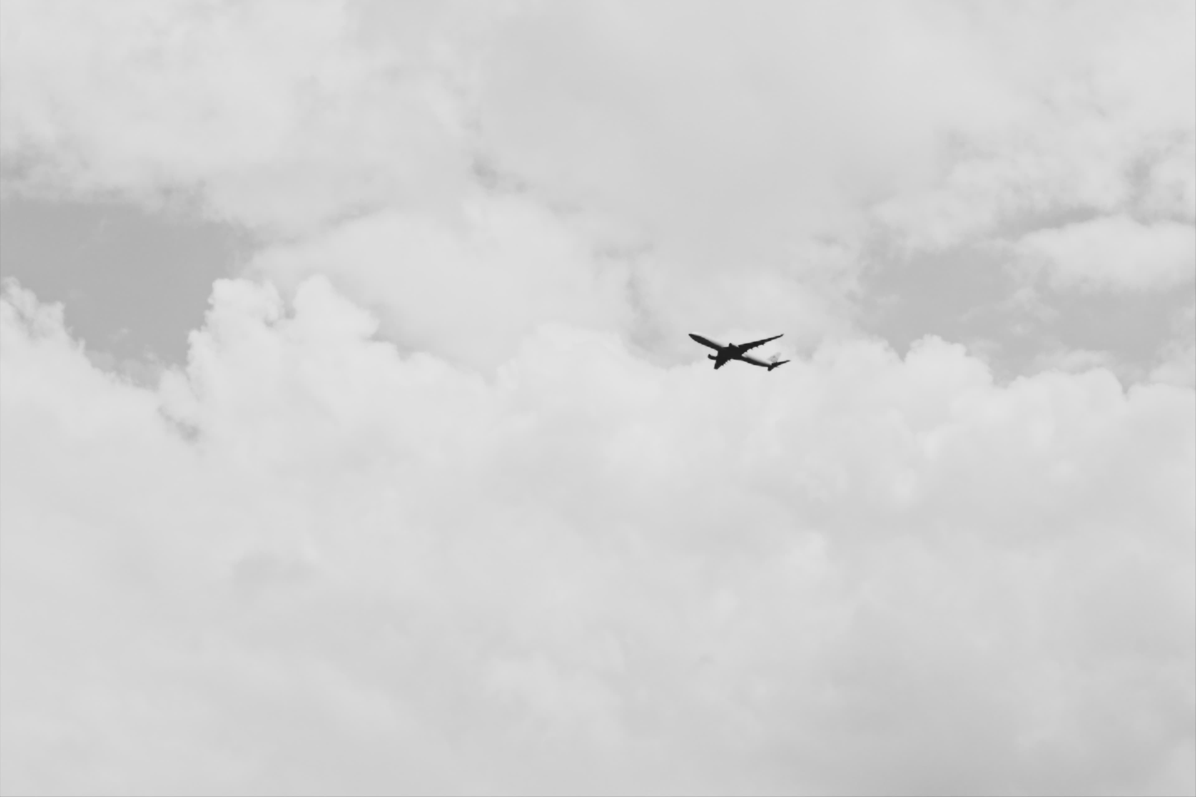 Soda banner image