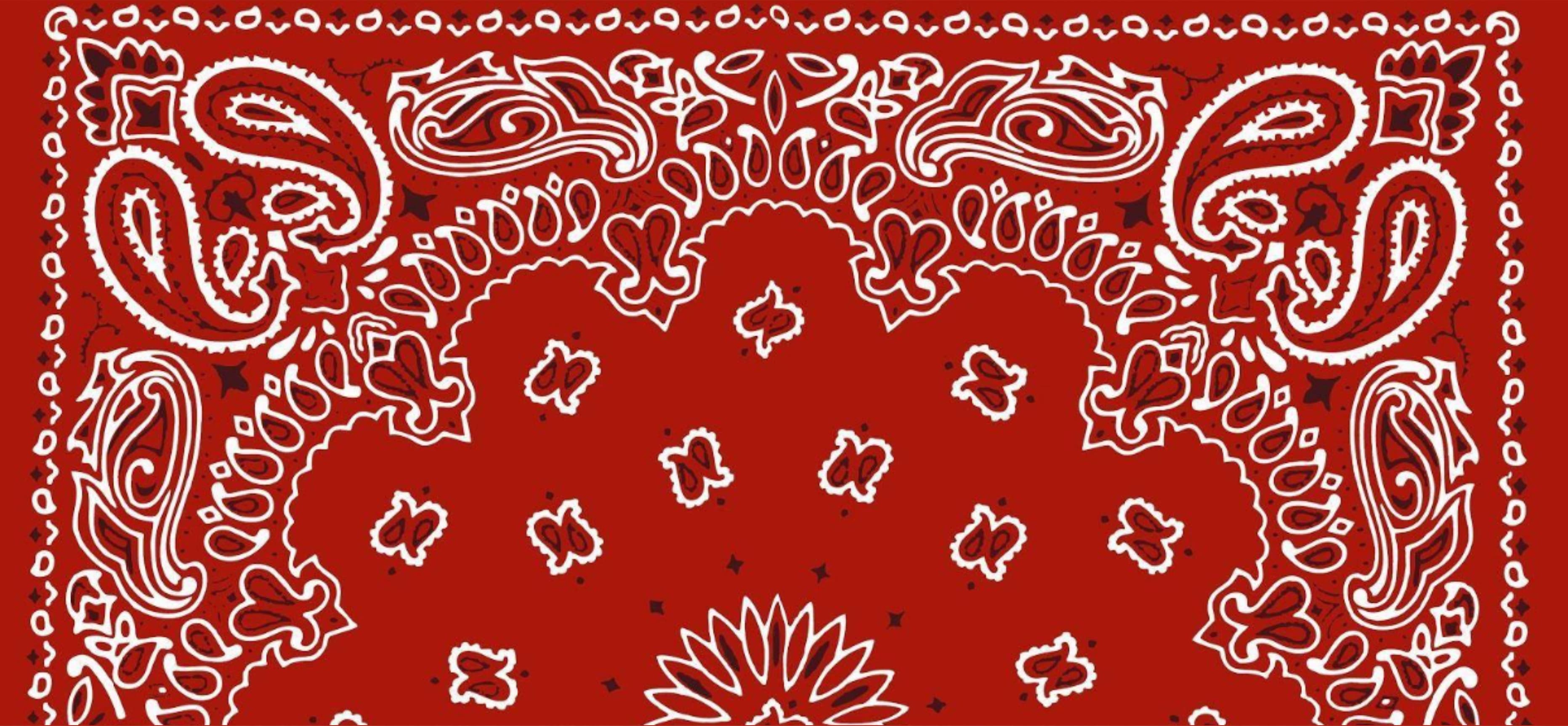 RavenMia banner image