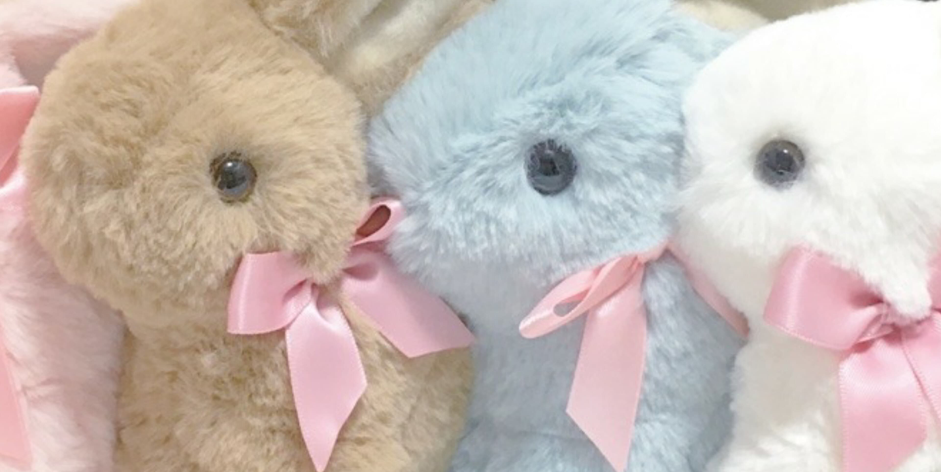 Pixie ๐งก banner image