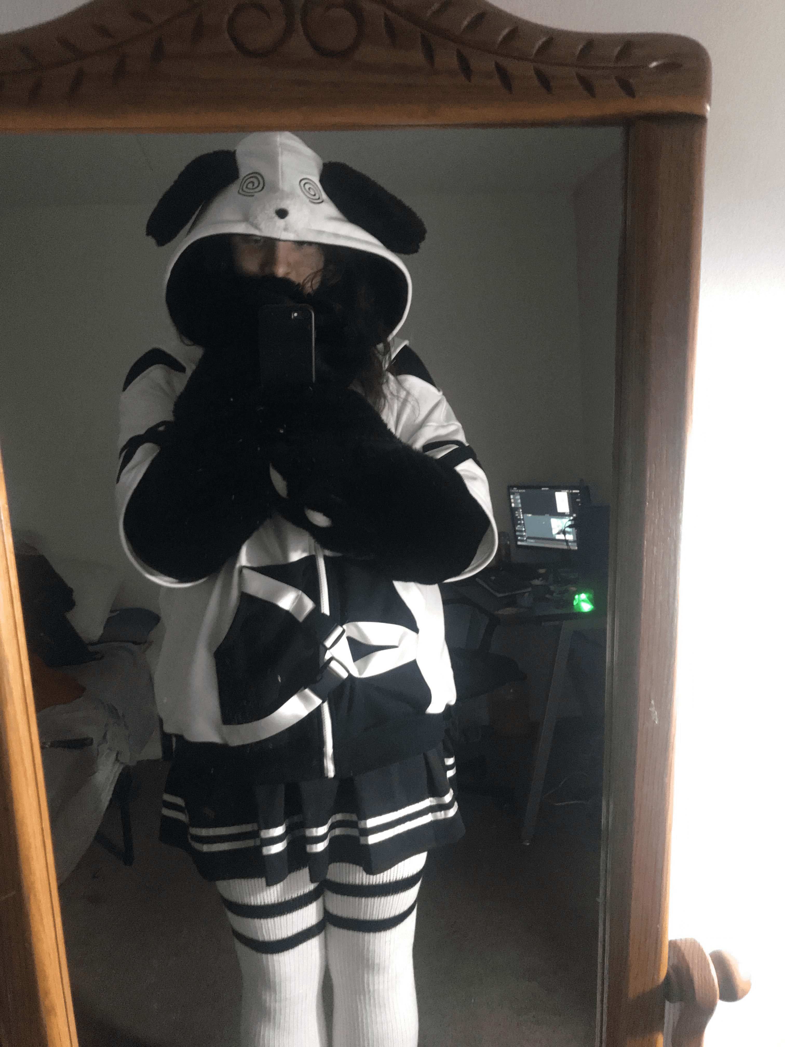 Skyeispuppy banner image
