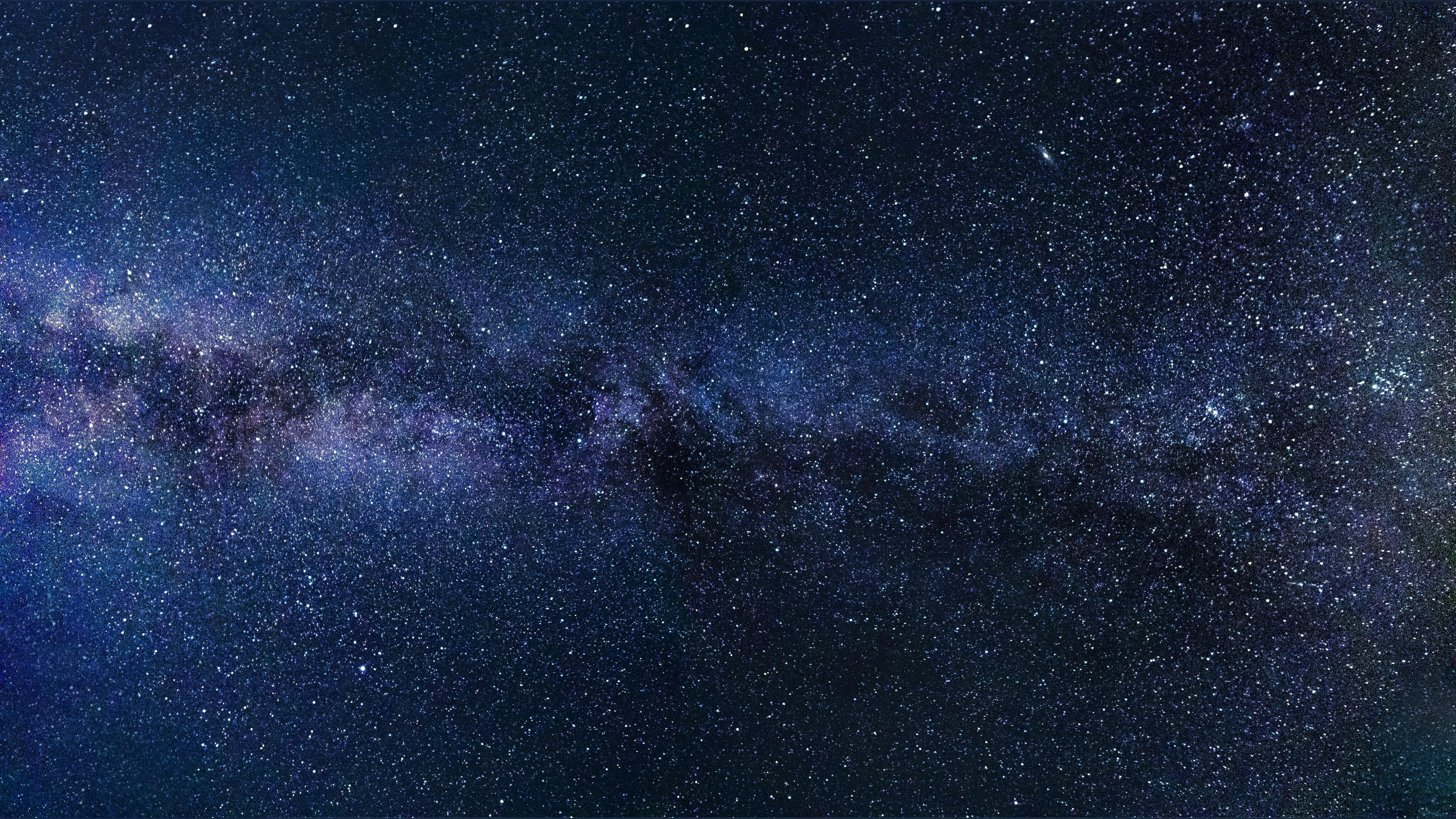 NashWill banner image