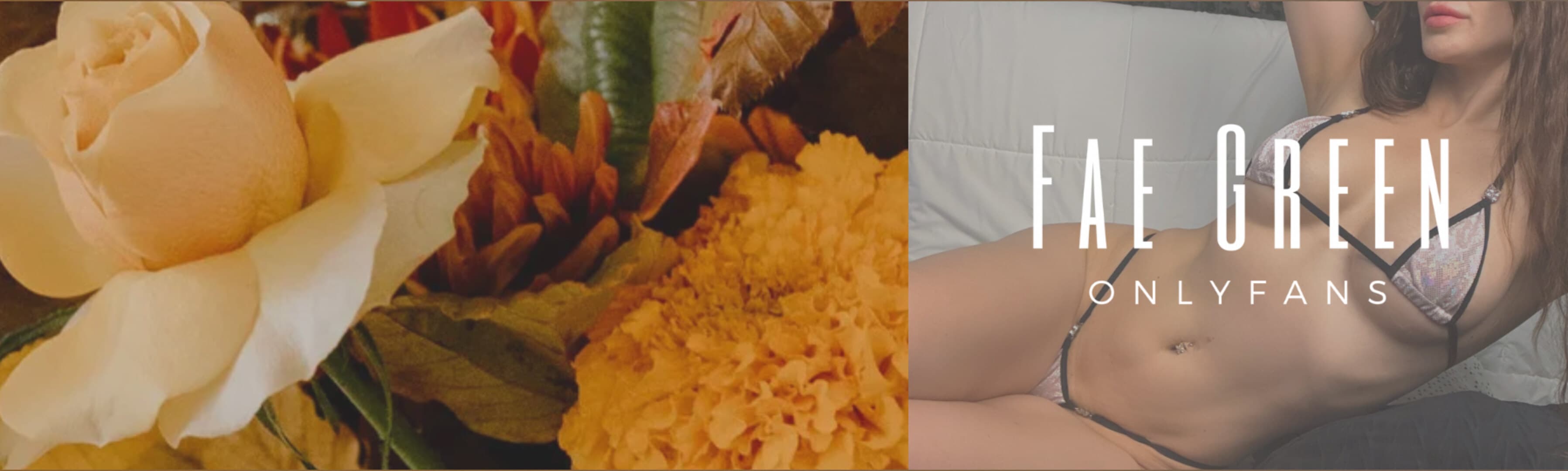 🧚Fae✨ banner image