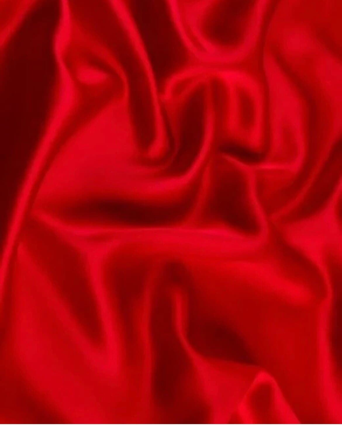 Scarlett Steele banner image