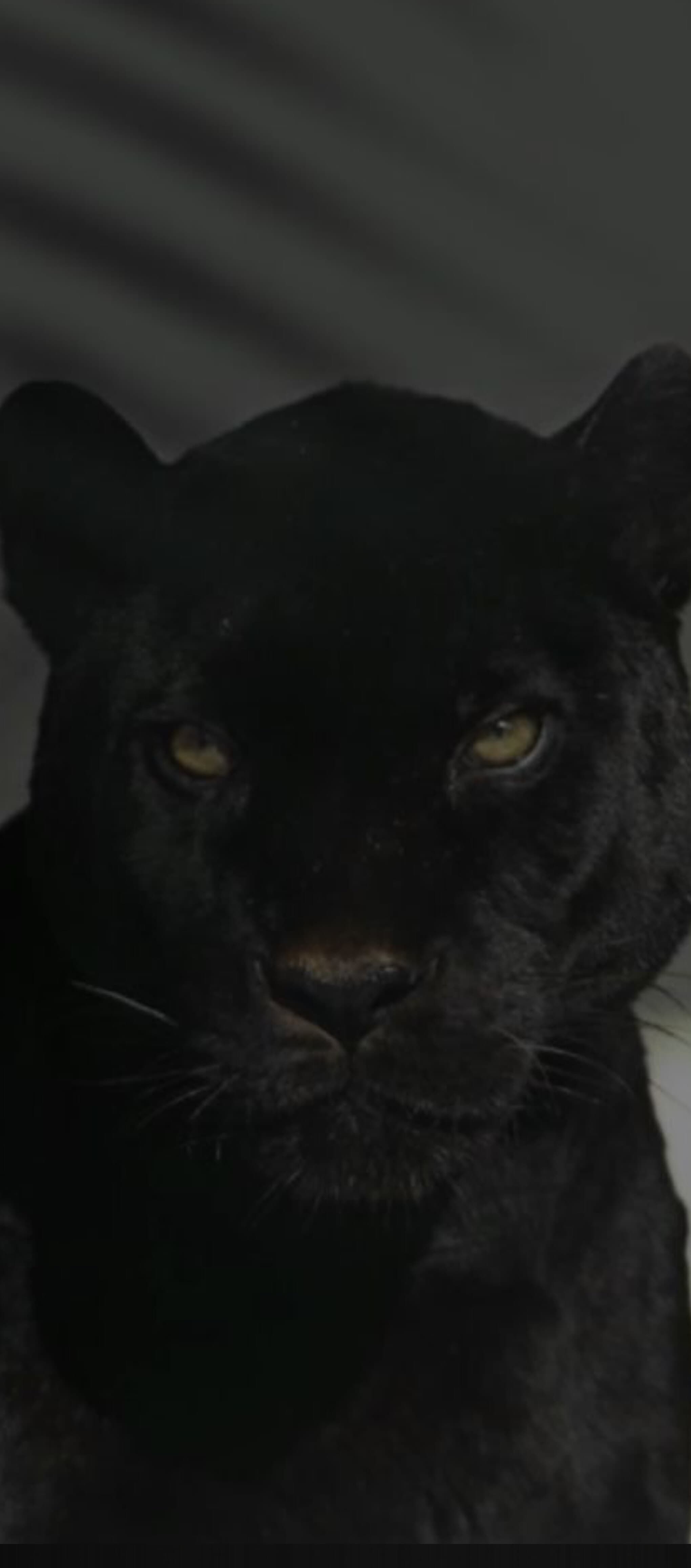 Bárbara.D🤍🪽 banner image
