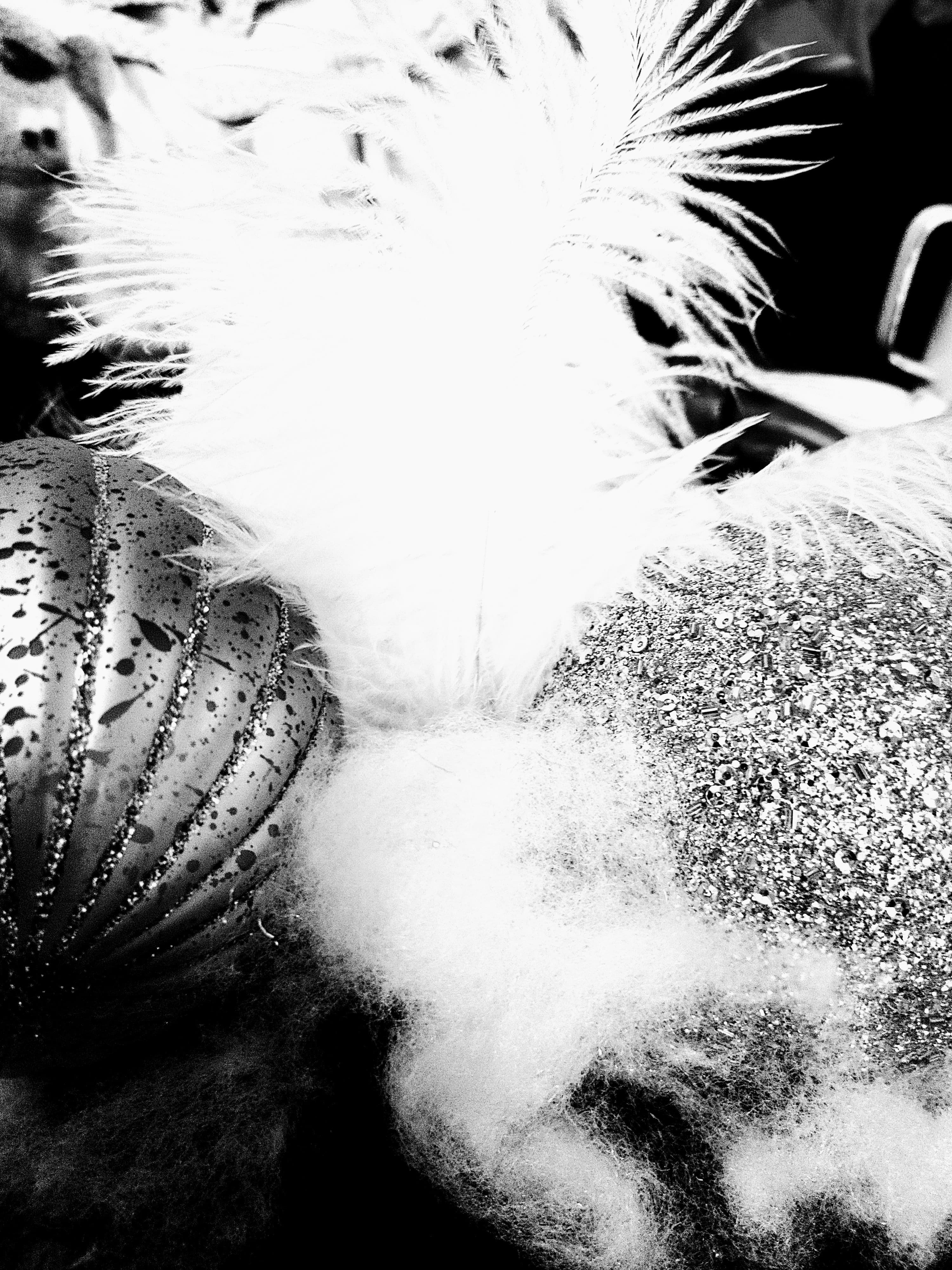 Goddess of Toes banner image