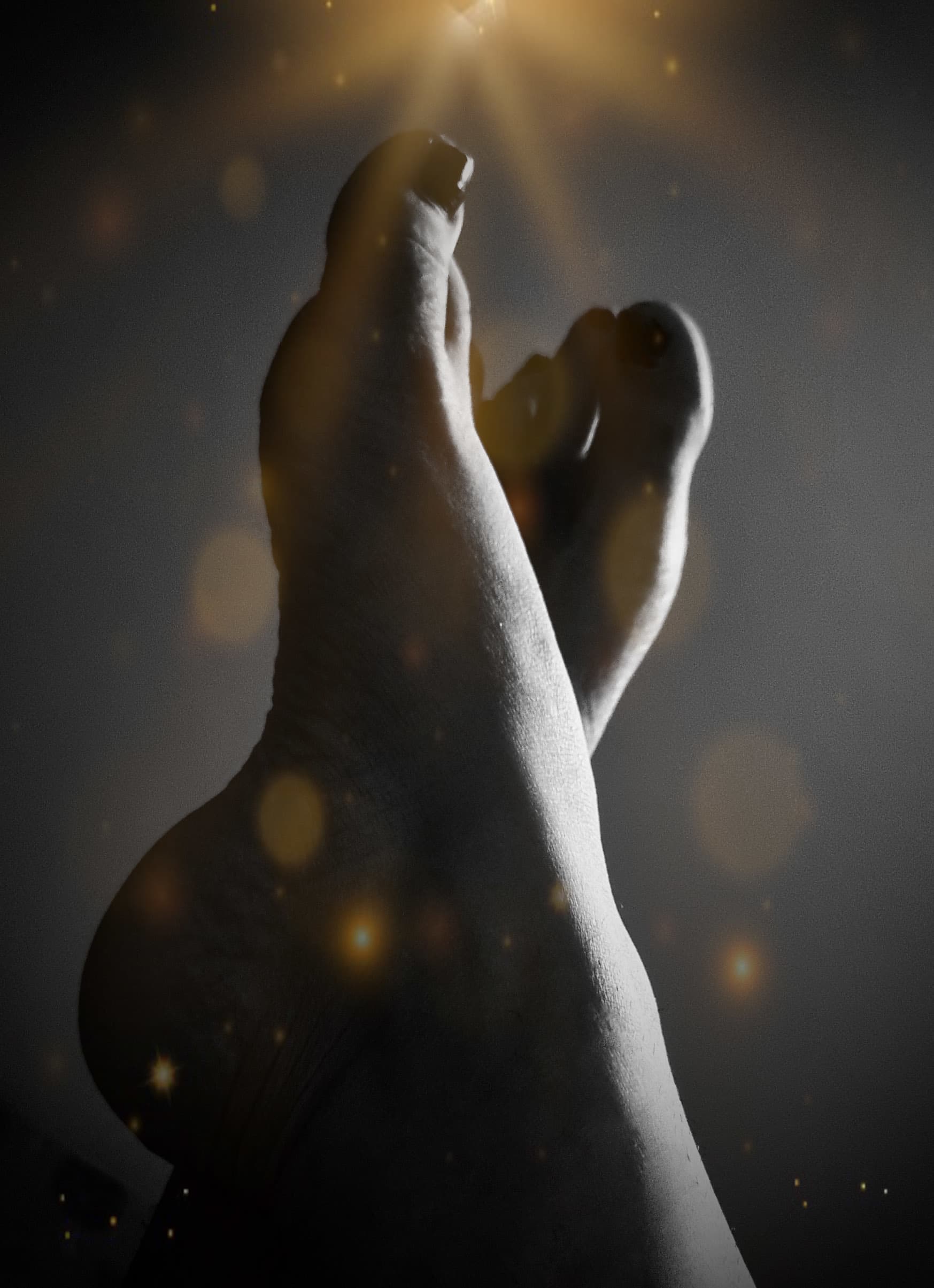 Tinytoes banner image