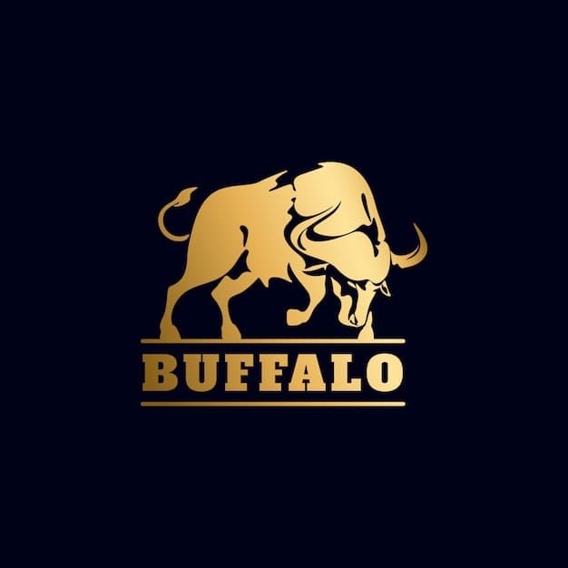 Texas Buffalo Bull 🦬 banner image