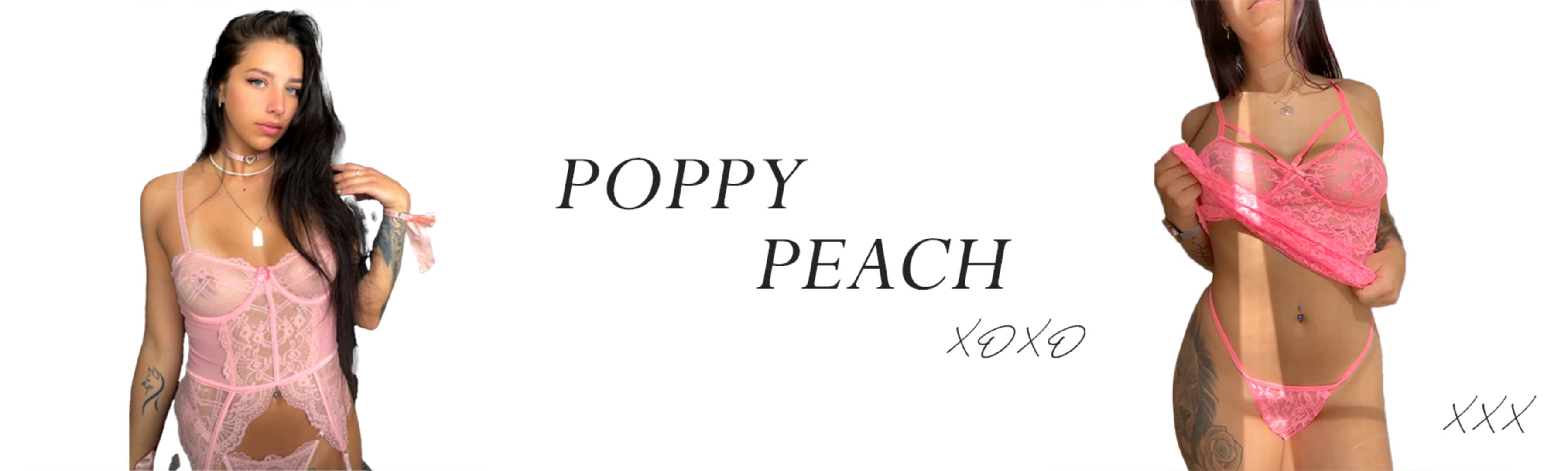 Poppy π banner image