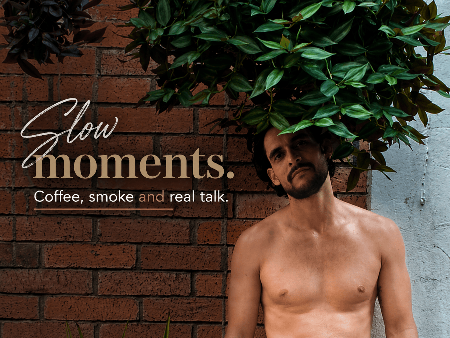 Andres banner image