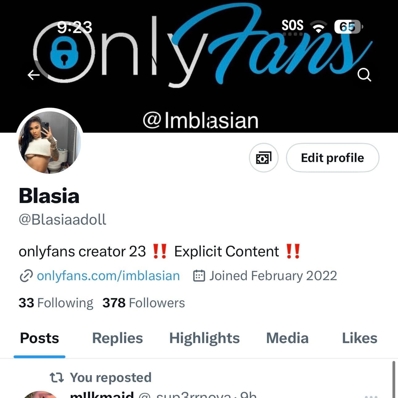 Blasiaadoll banner image