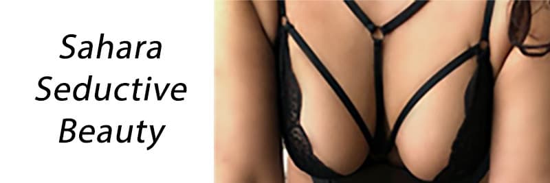 Sahara banner image
