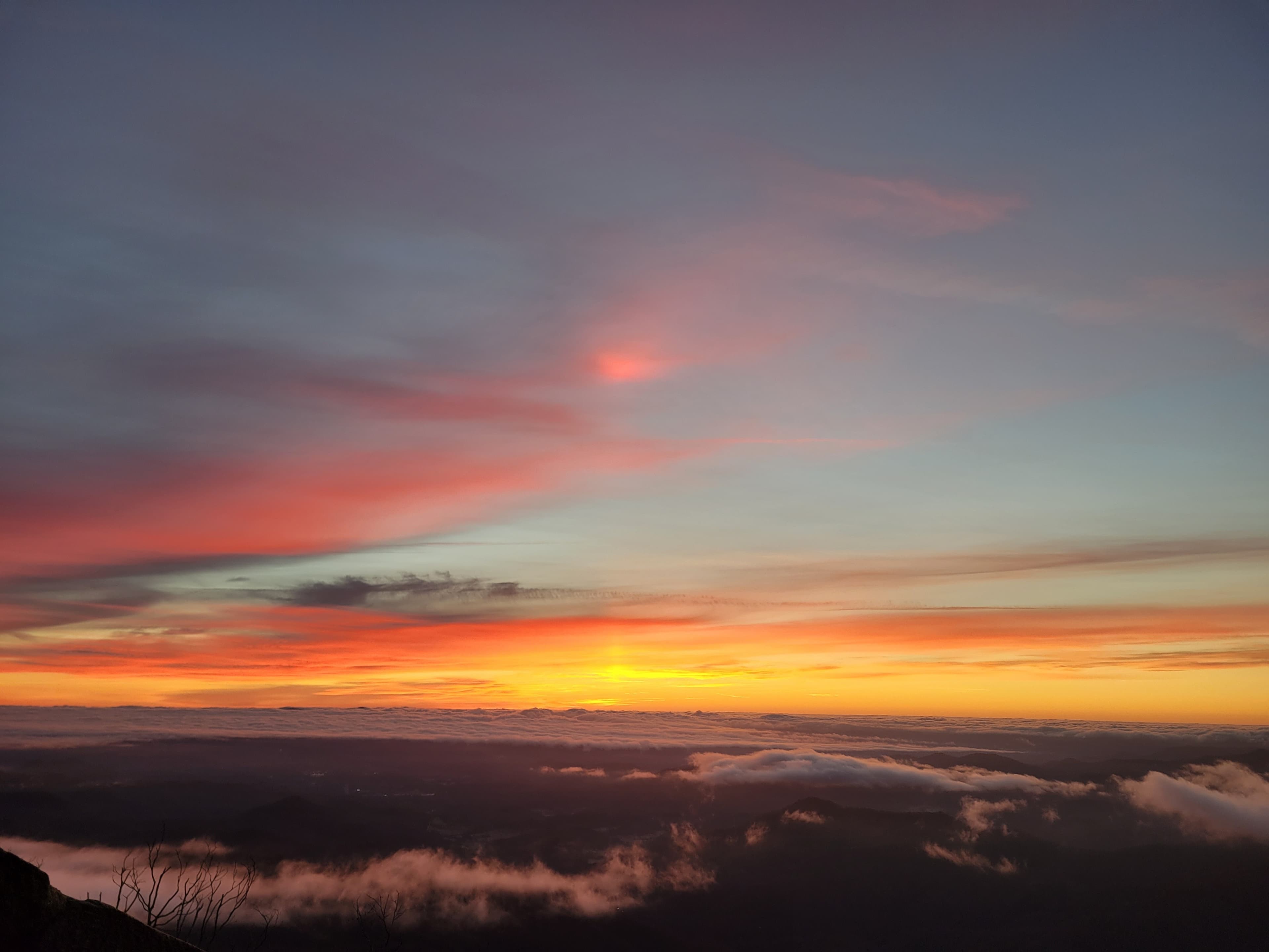 Wilde banner image