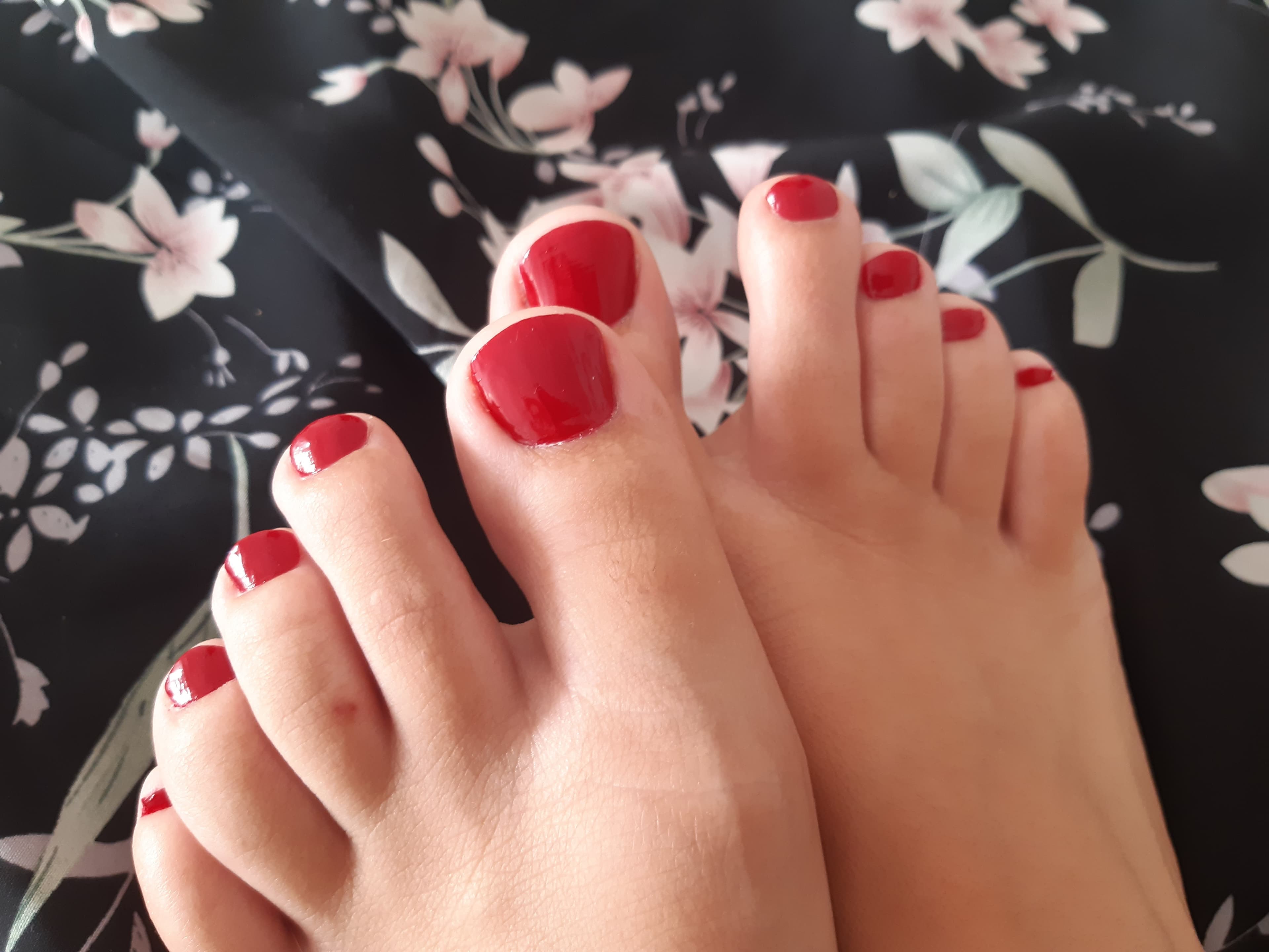 lexi431 banner image