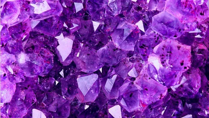 Amethyst Rose banner image