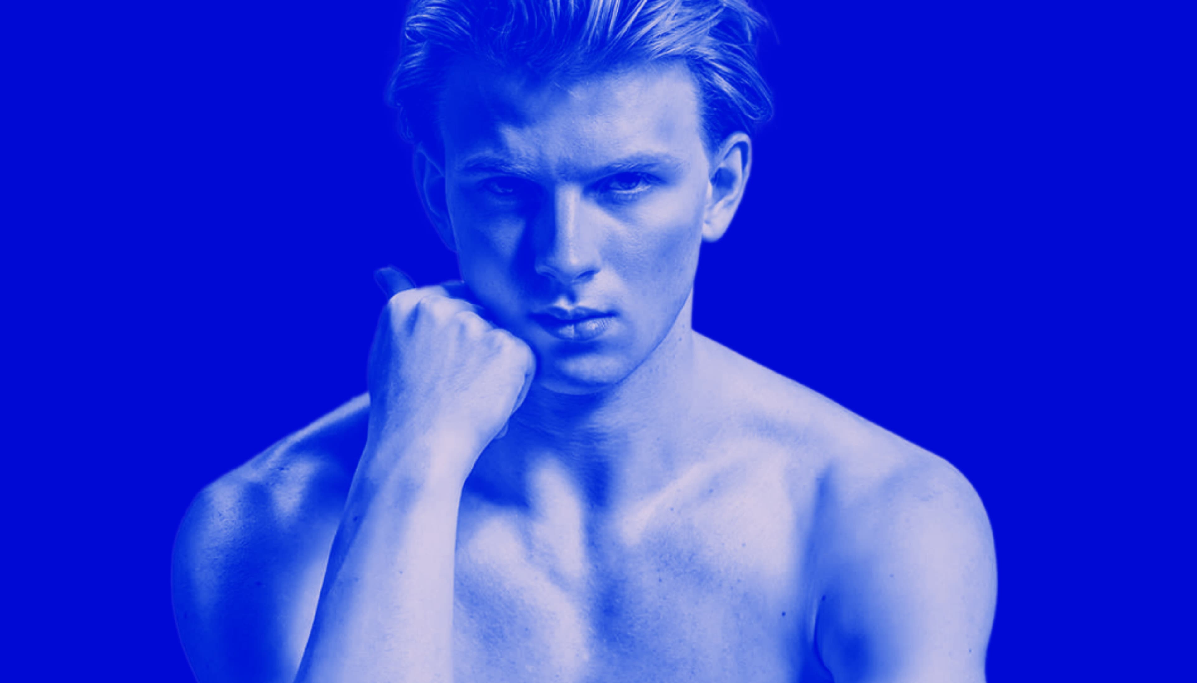 german stud banner image
