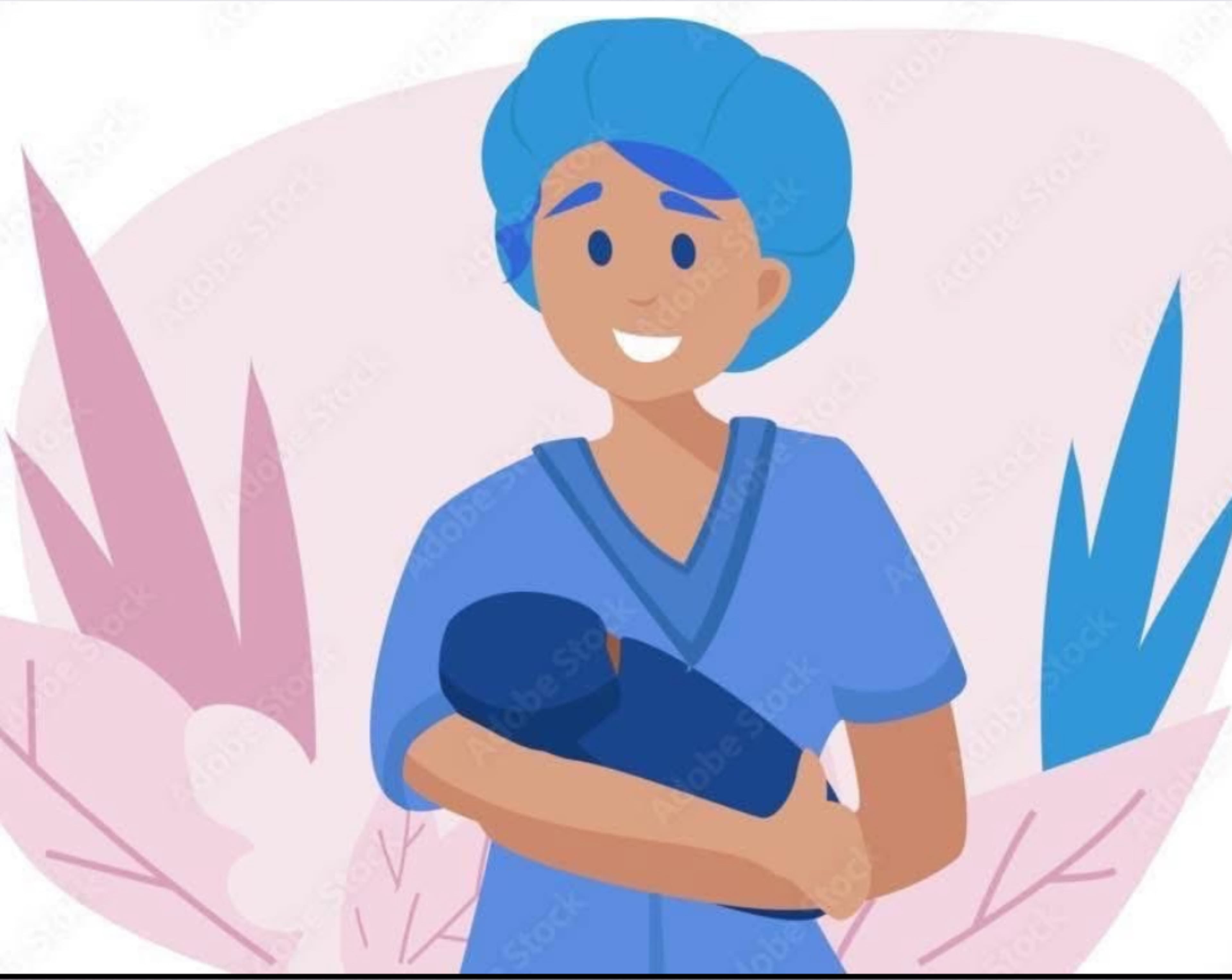 That Northern Midwife banner image