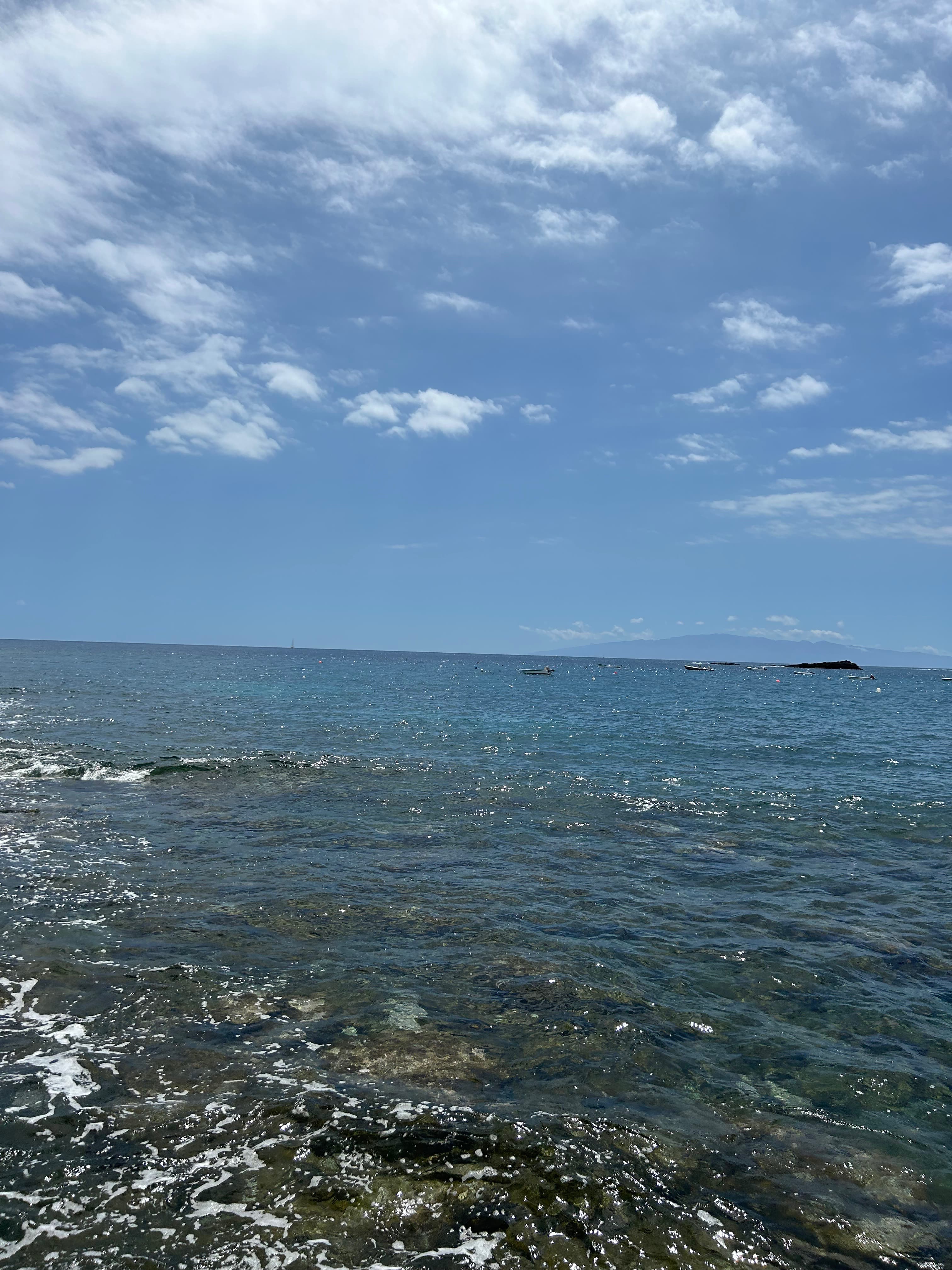 Jesse’s feet banner image