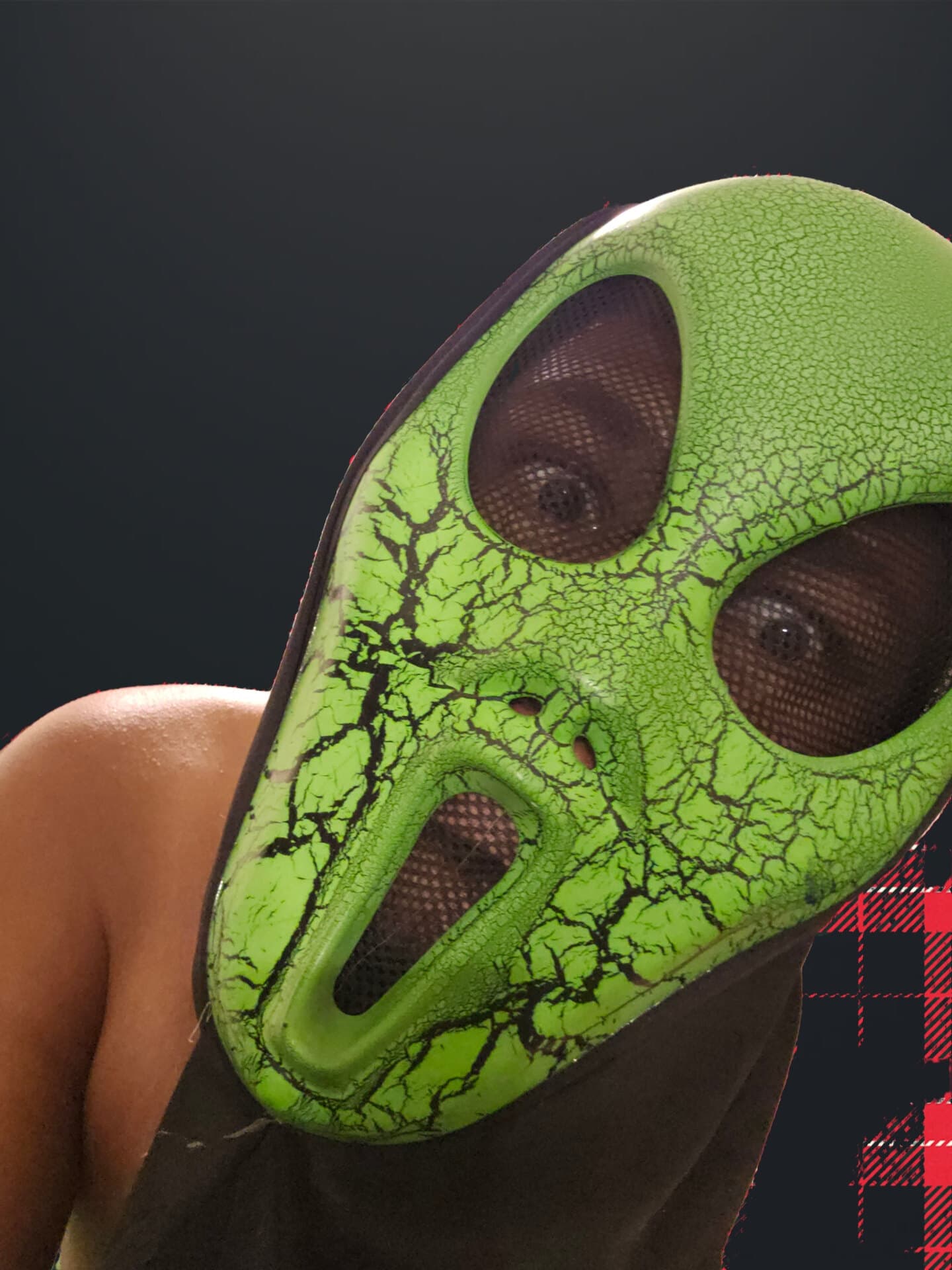 DominicanMarlic banner image