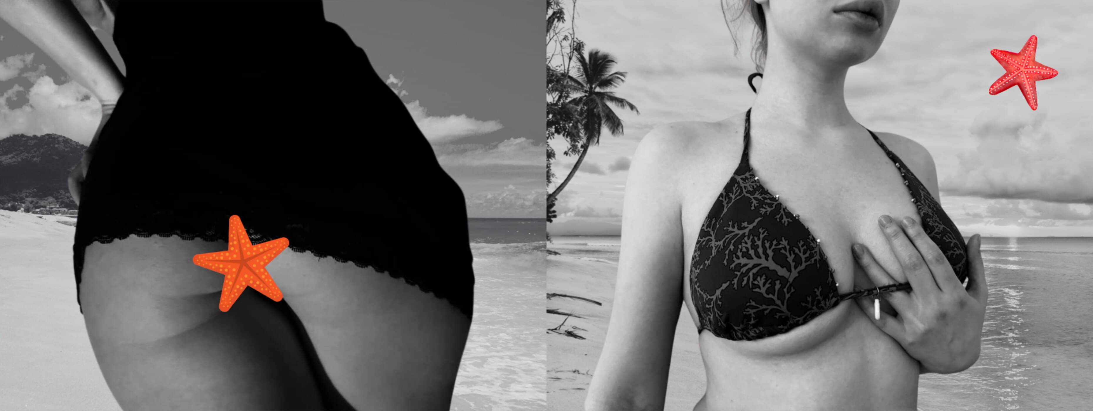 Two Bunnies banner image