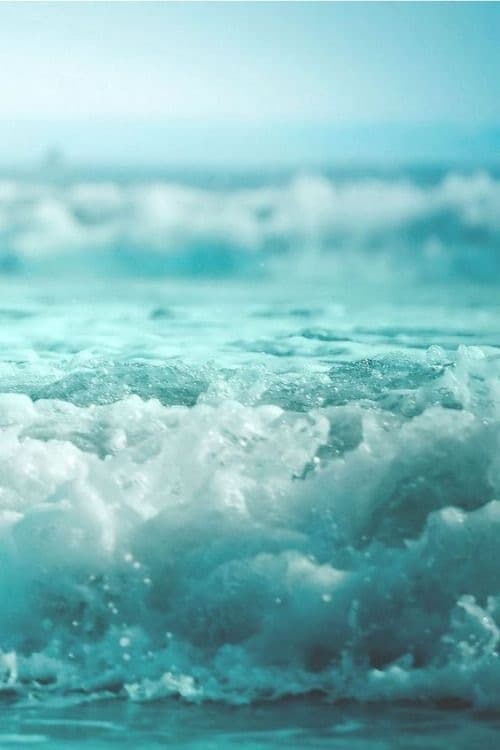 CurvyMichelle banner image