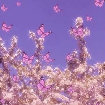 Karma Foxx banner image