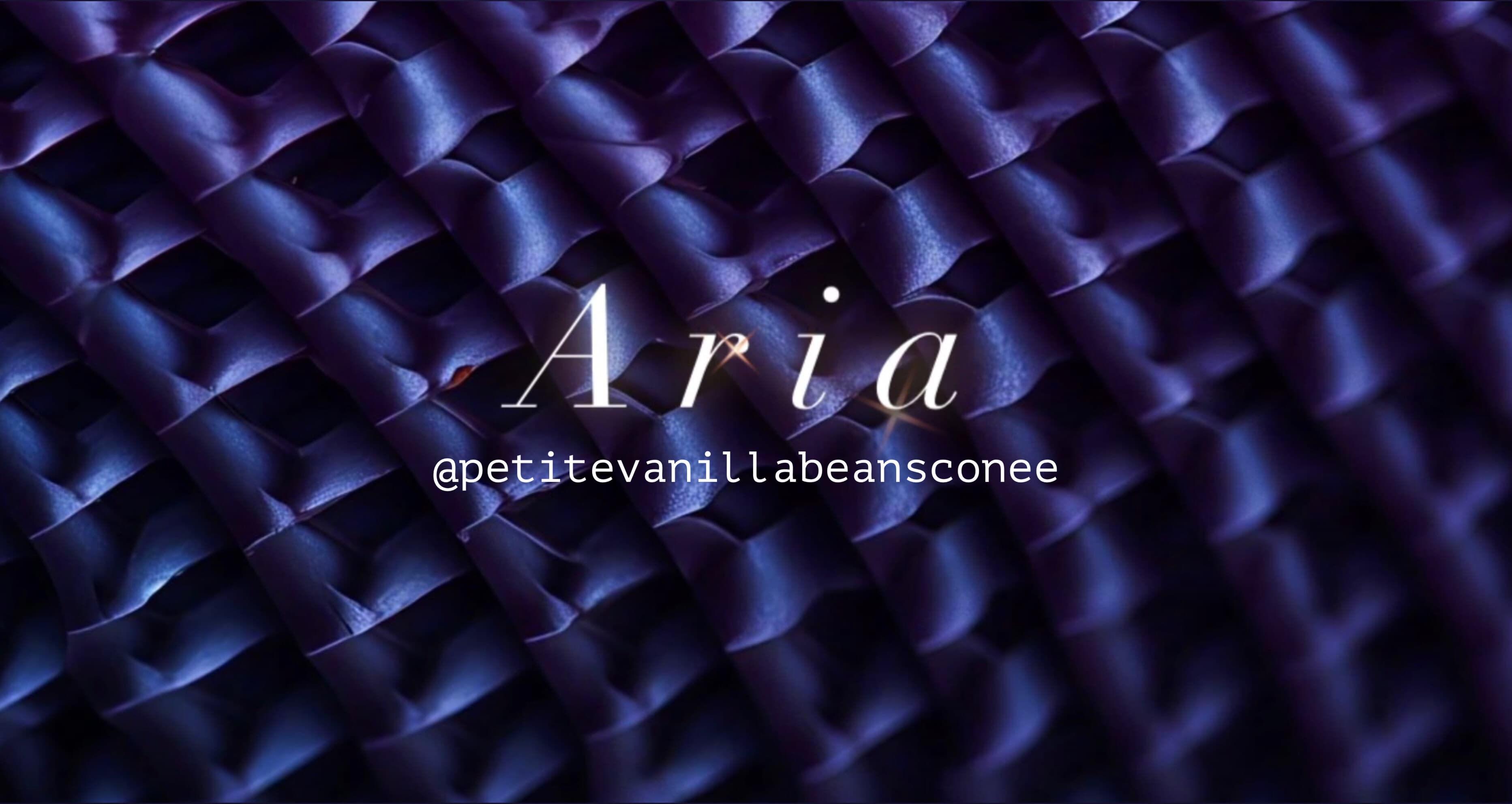 Aria ๐ค banner image