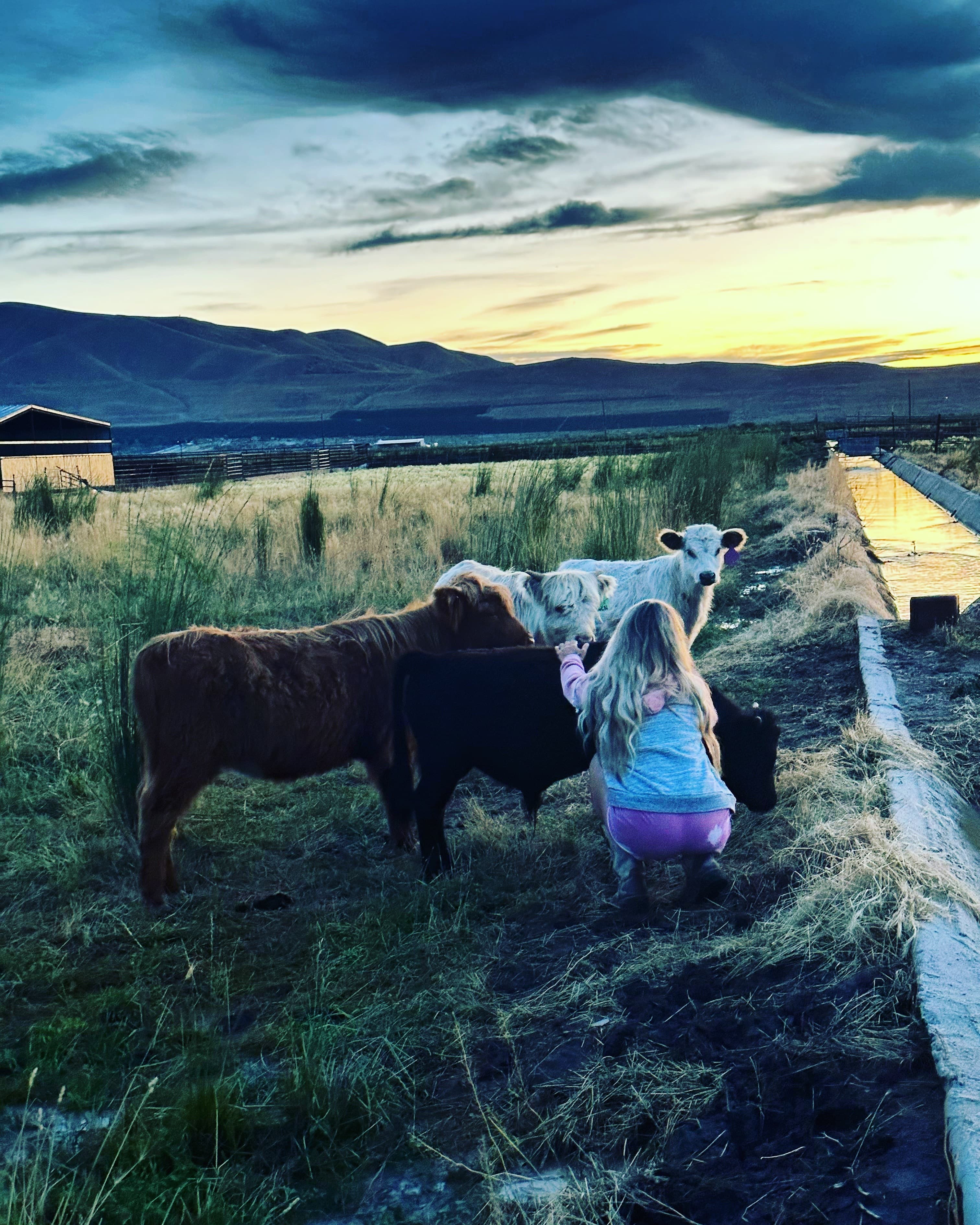 Anika the Farm Wife banner image