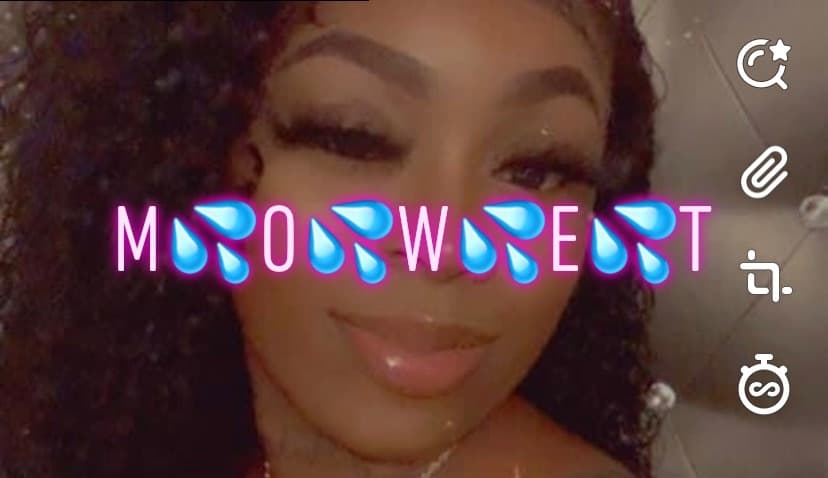 Mowet.304 banner image