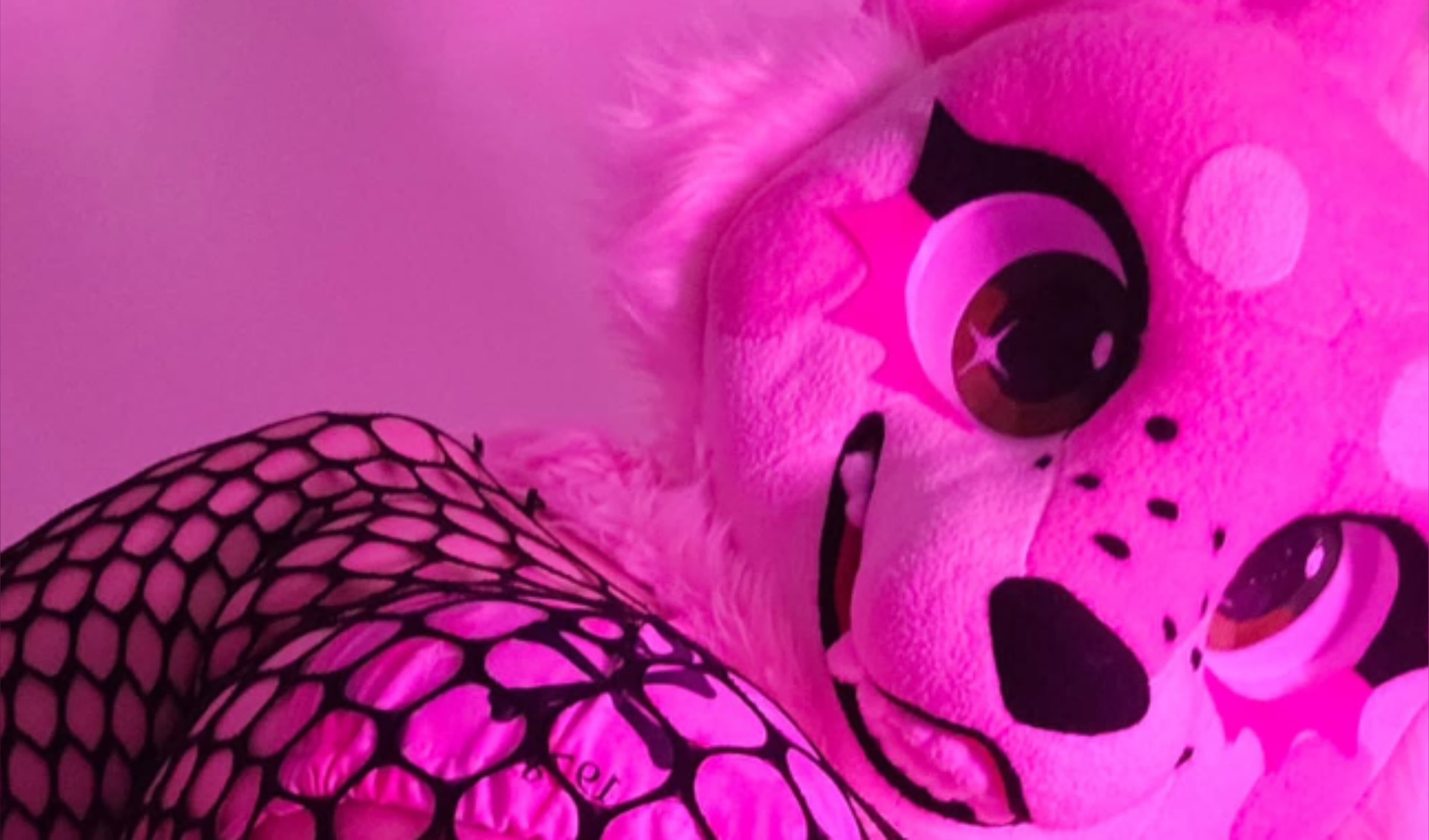Cuu banner image