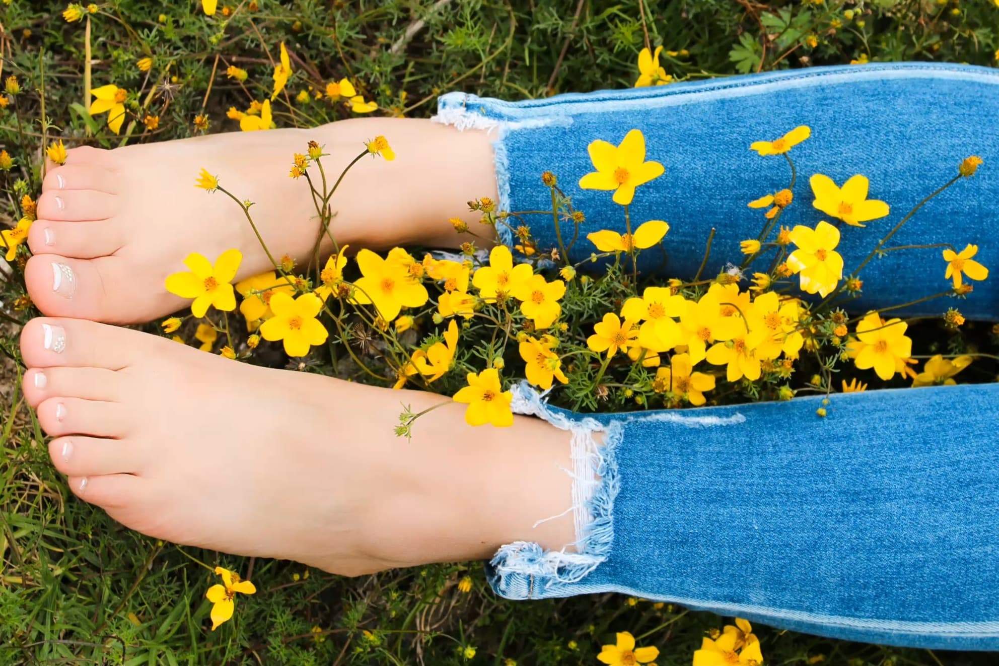 Sweet Feet banner image