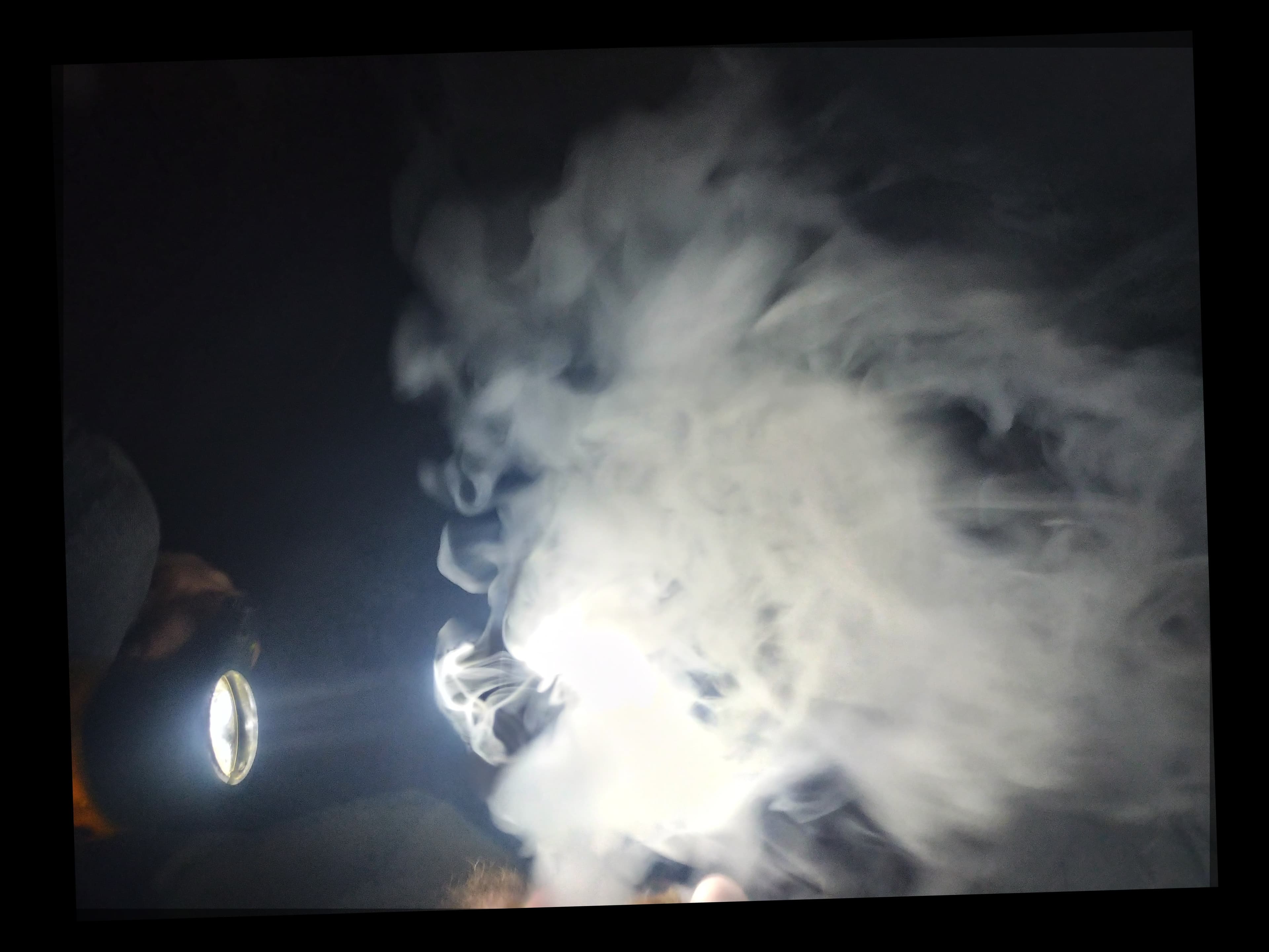 McRee banner image