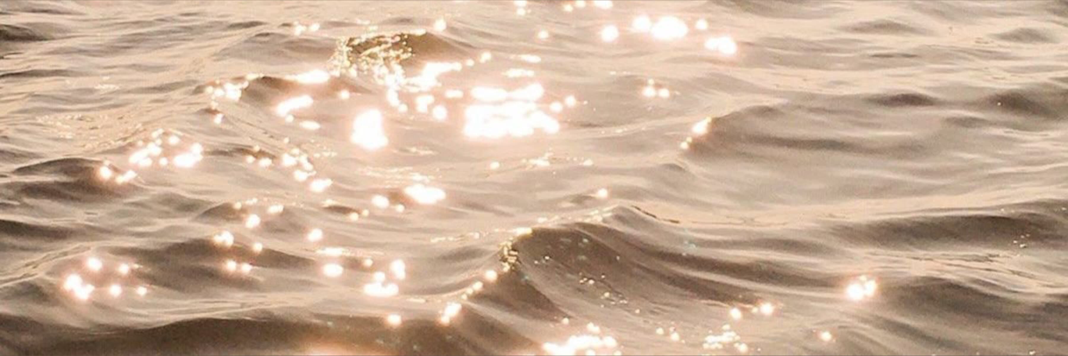 Melanie Rose ๐น banner image