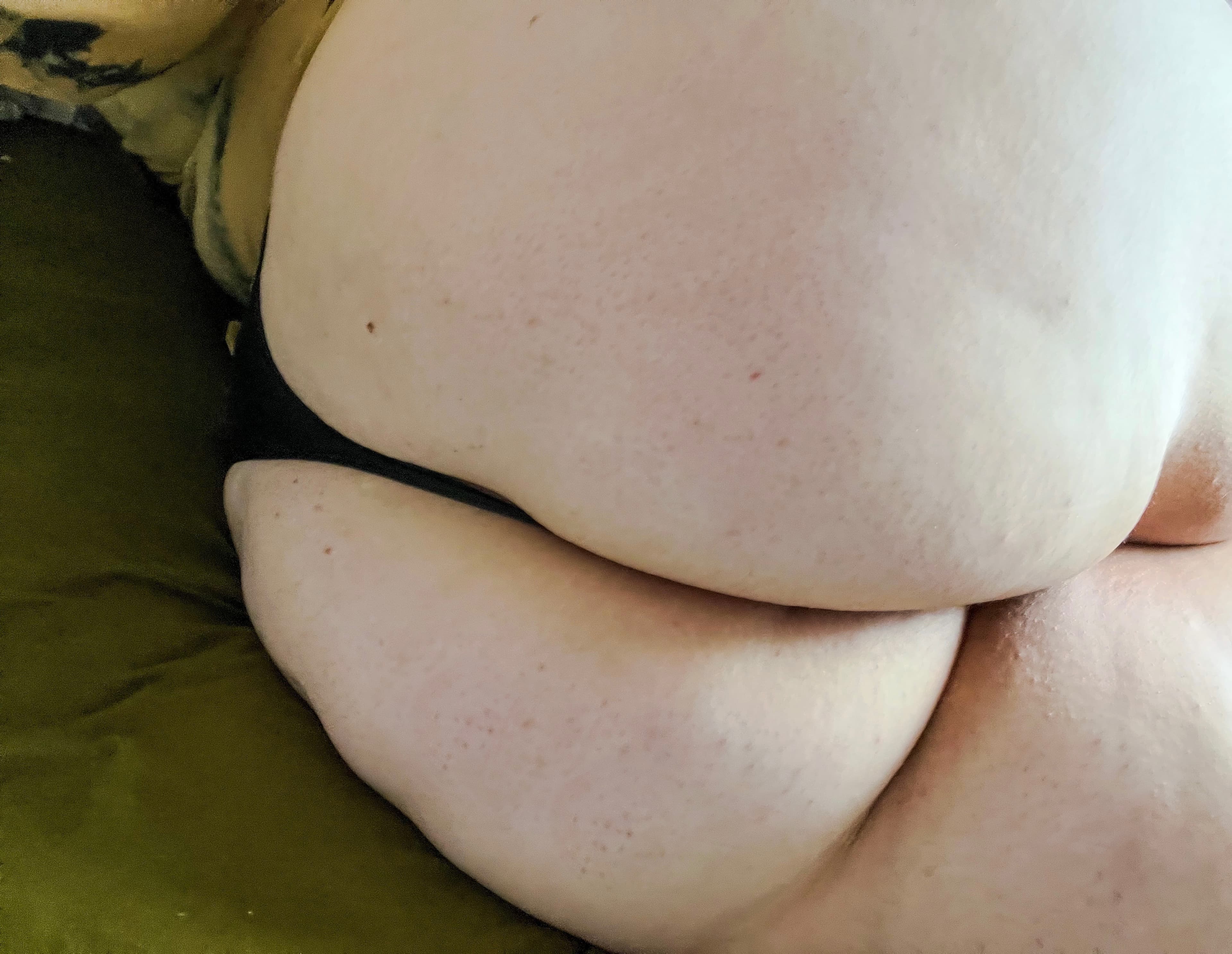 willow banner image