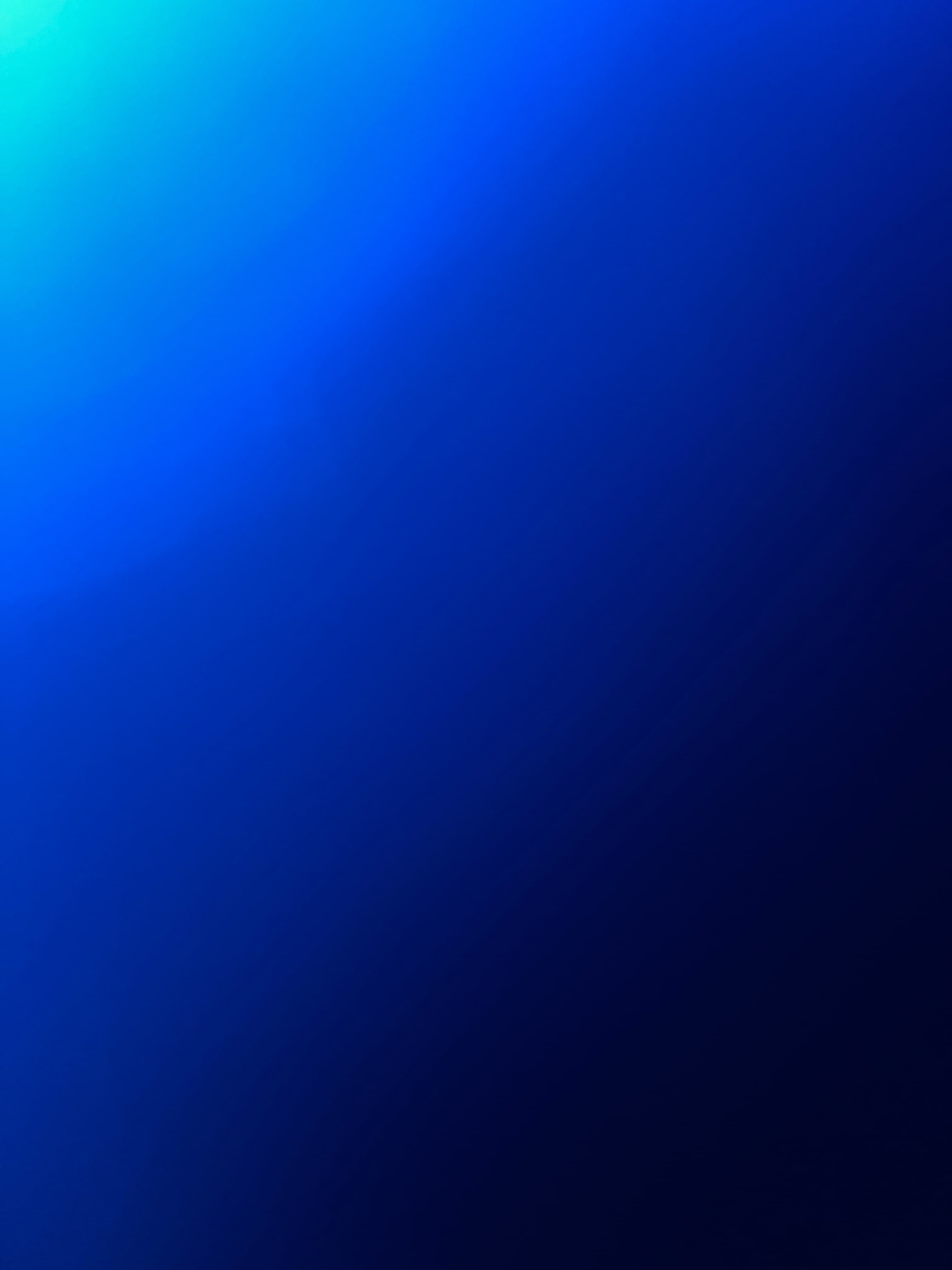 Boricua Loca banner image