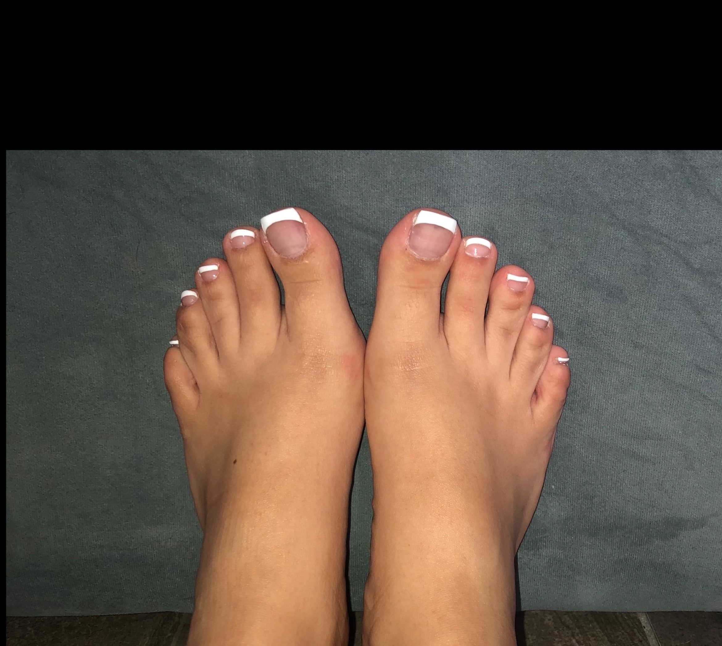 Venusfeeture banner image