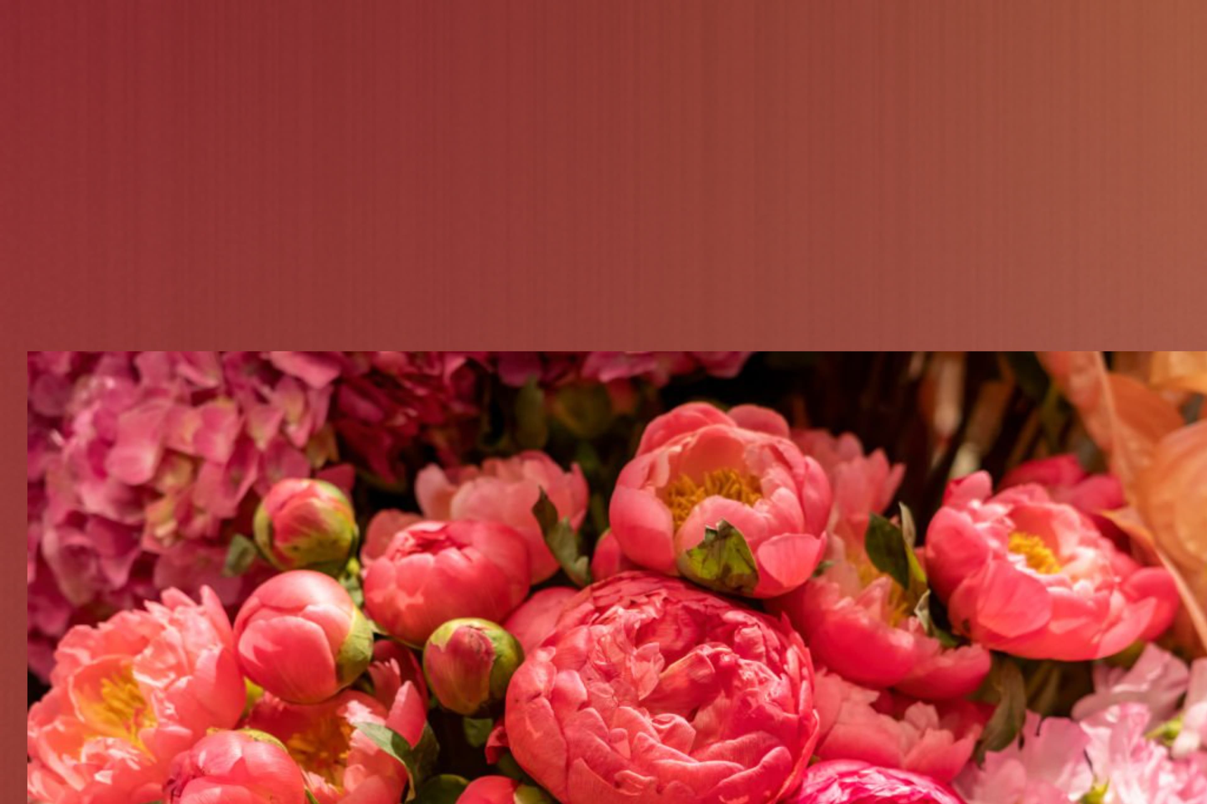 Ivy Brooks banner image