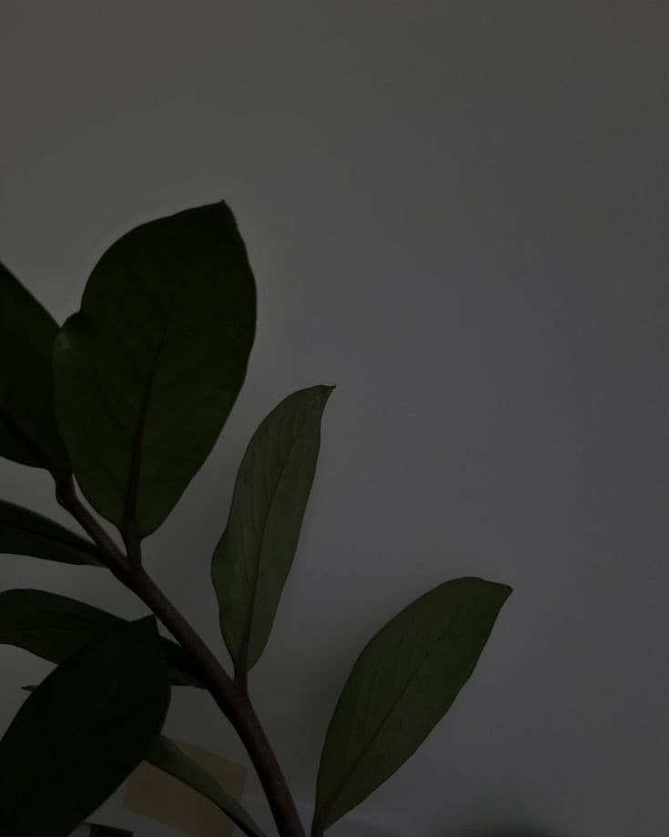Anavy02 banner image